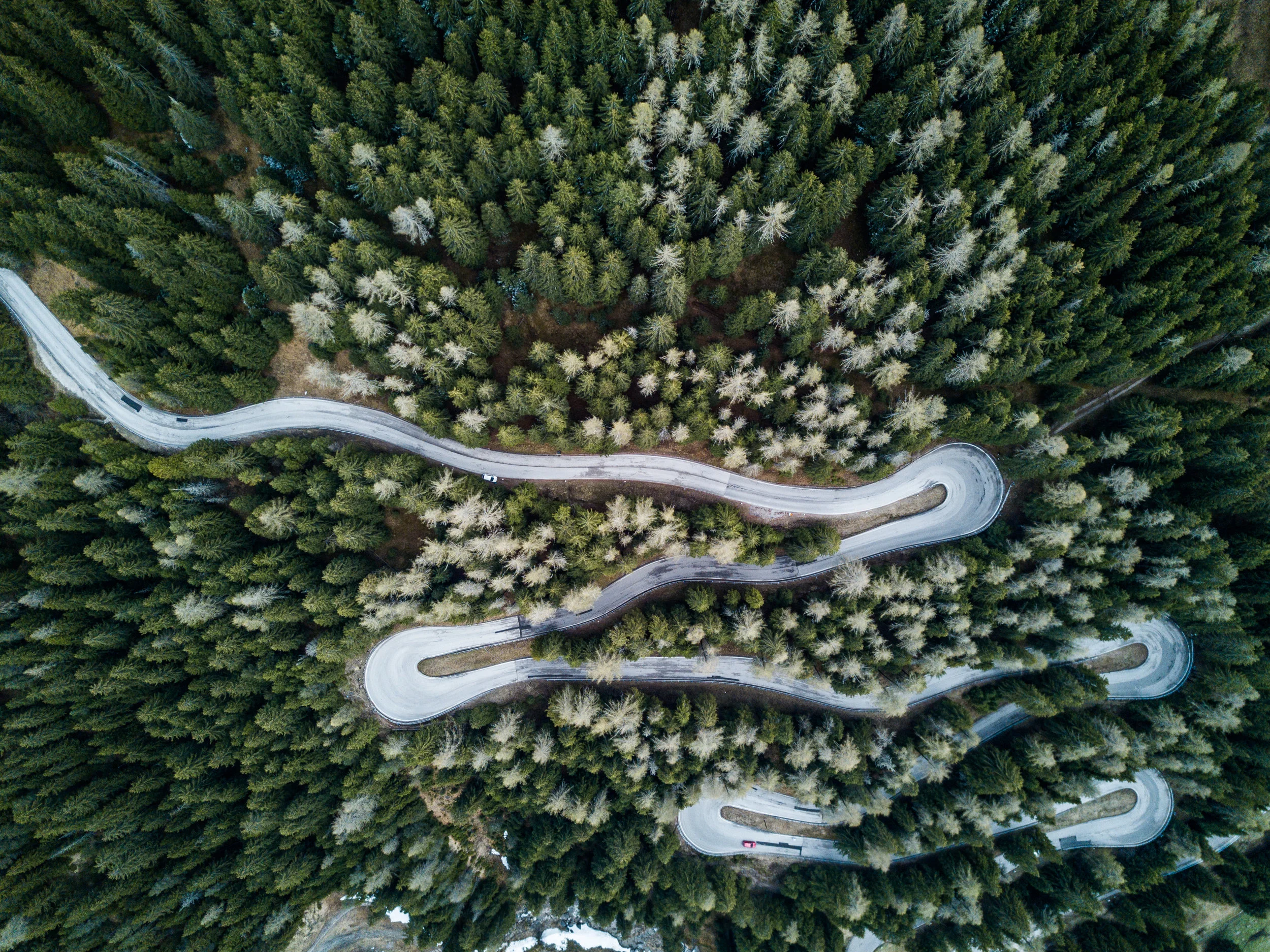 20170429-DJI_0216.jpg