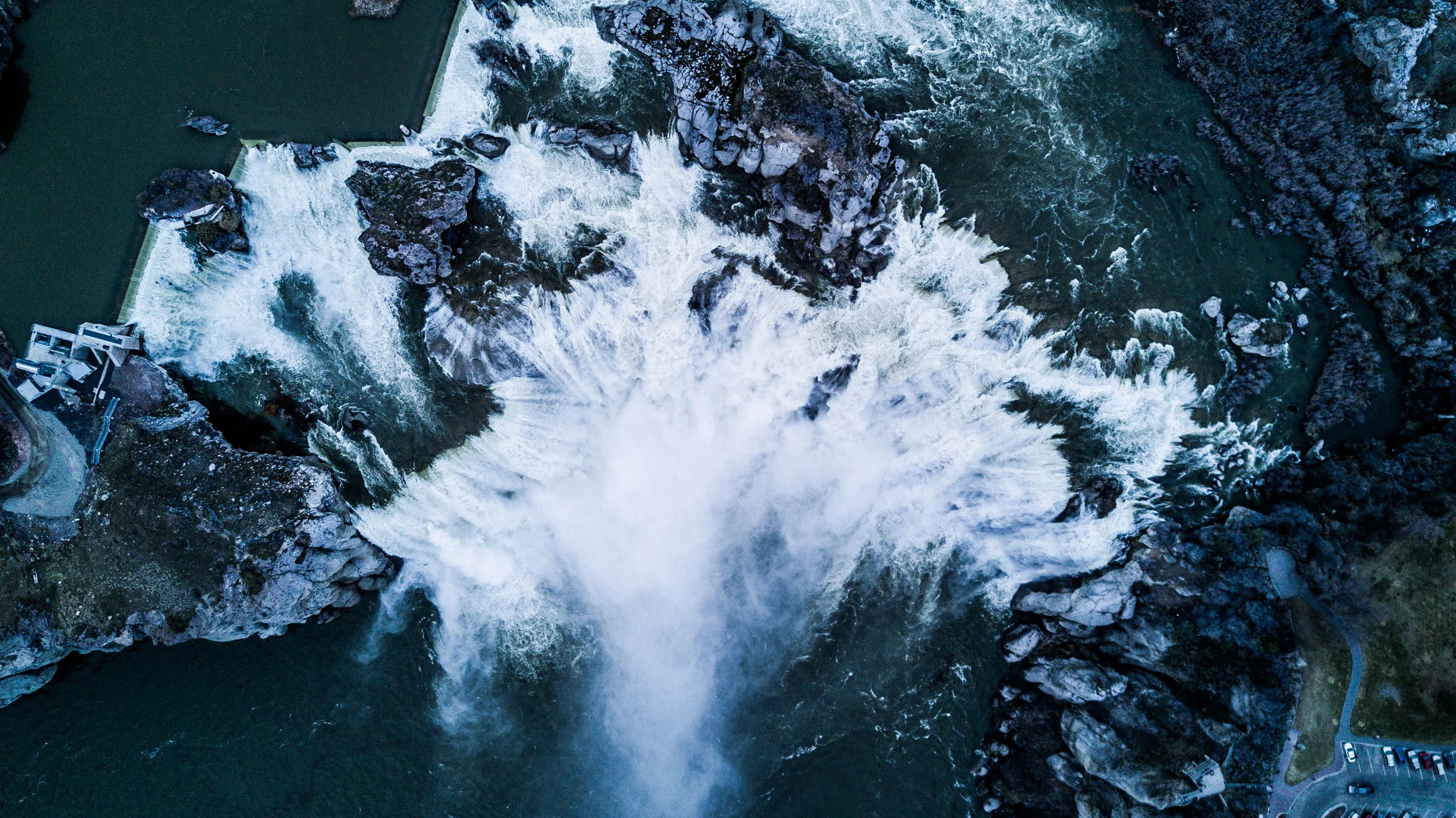 20170310-DJI_0659.jpg