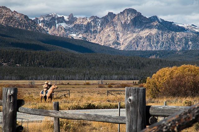 I have a great respect for people who make their living off the land. I was lucky enough to catch a shot of a ranch family moving their herd across highway 75. &bull;
&bull;
&bull;
&bull;
#alwaysgo #idahogram #visitidaho #roamidaho #idahoexplored #on