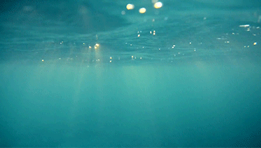 Photo credit Google&nbsp;