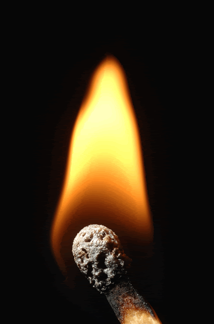 Photo Credit Google&nbsp;