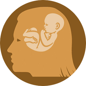 Pregnancy and Mental Health