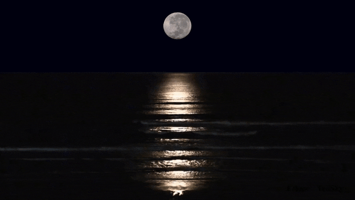 A Conversation w/ Tarot : Full Moon in Pisces 