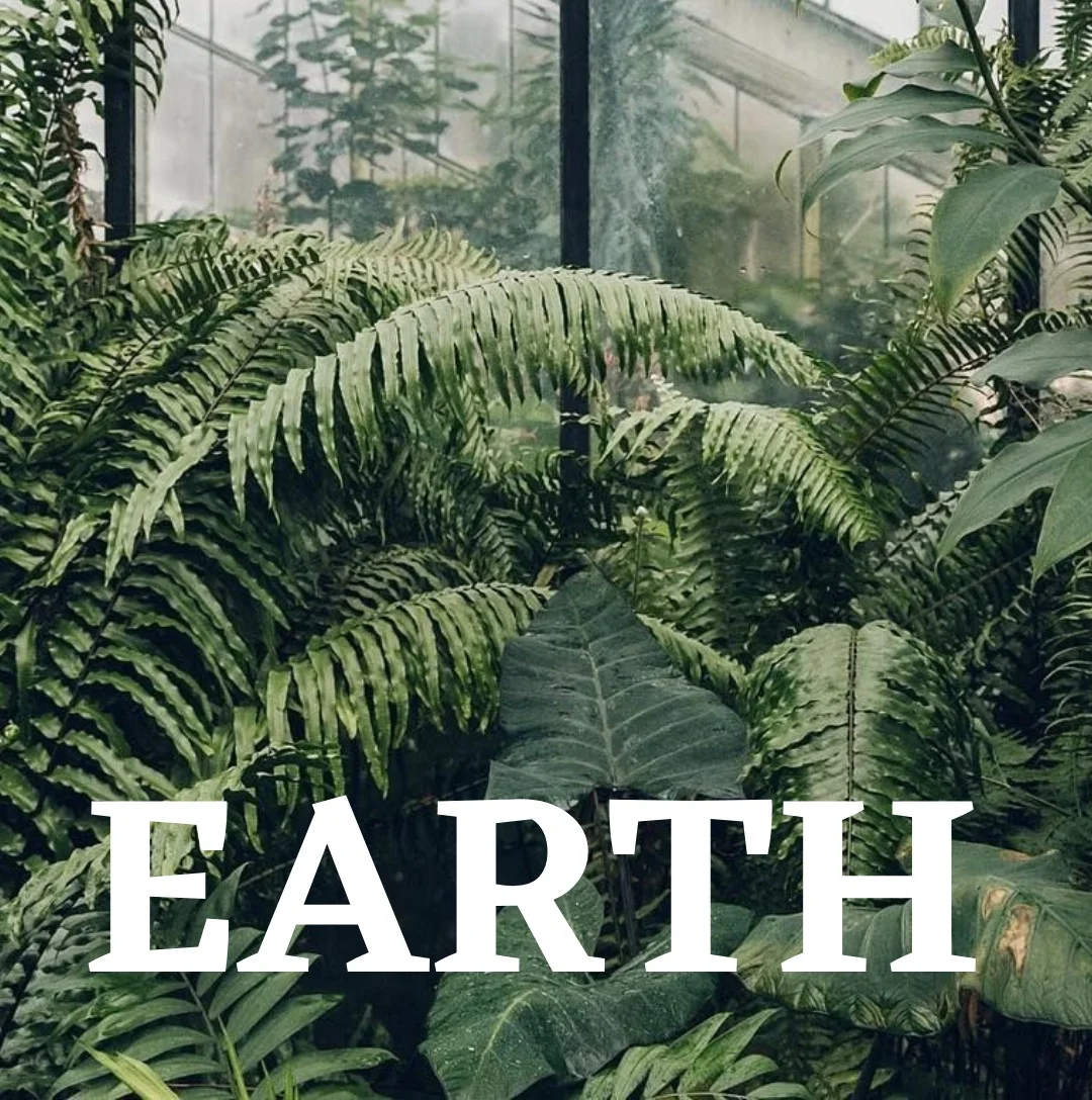 Taurus, Virgo + Capricorn || February '19 Tarotscopes