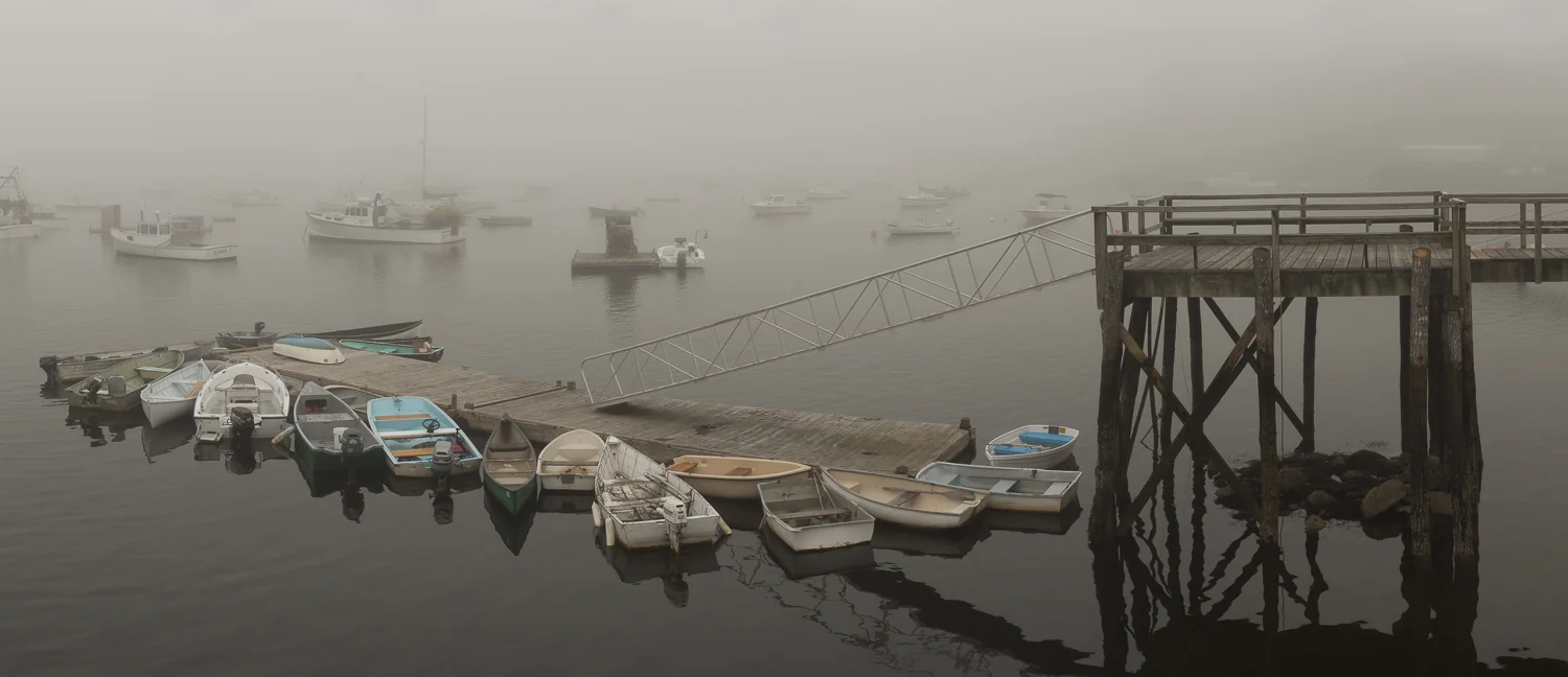 Maine 2013_Louds Island_D700_071113 (21 of 115)-Edit.jpg