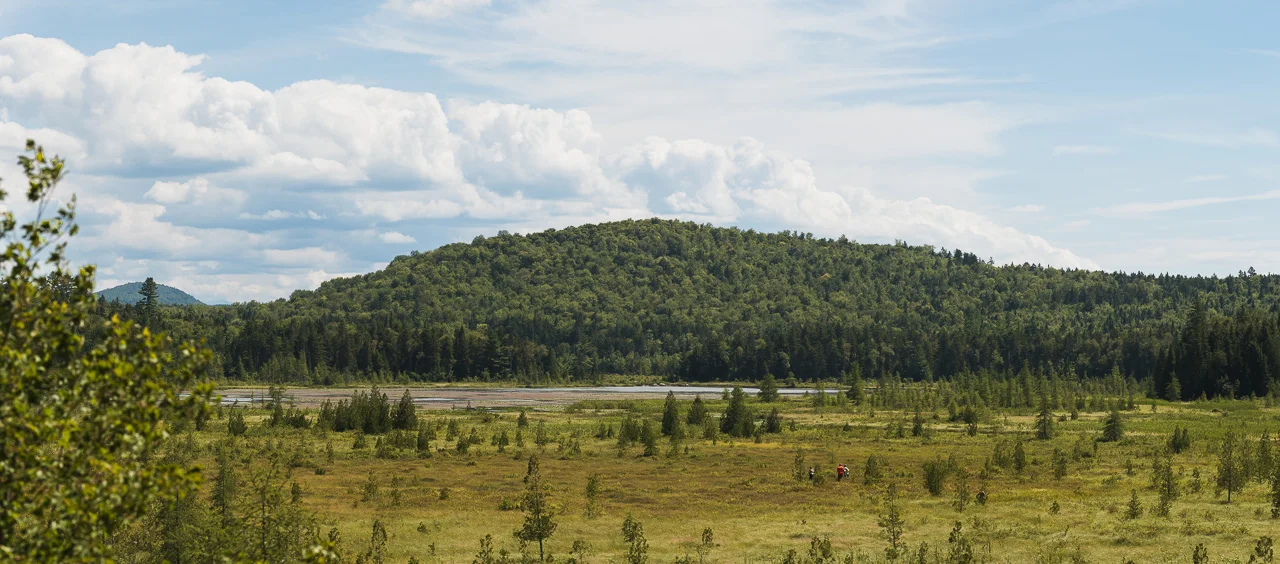 Crooked Spike Lodge_The Bog_080613.jpg