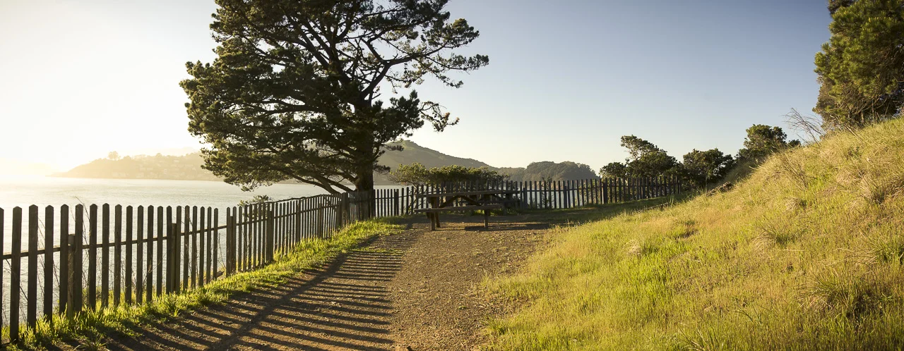 Spring Break_Sanfrancisco_Fence Shadows_D40_032709.jpg