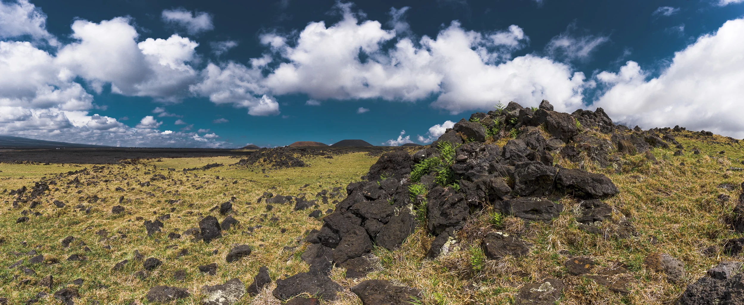 Hawaii_Card3_D810_031916-29-Pano.jpg