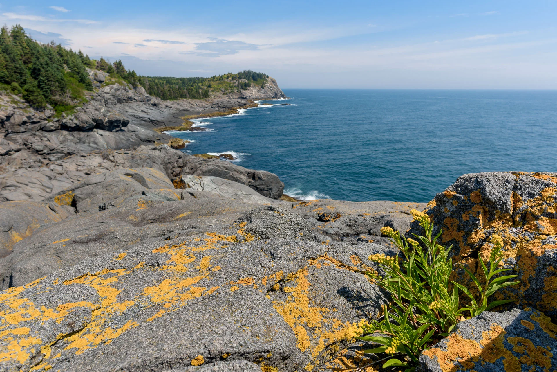 Round Pond_Monhegan_D810_081316-25.jpg