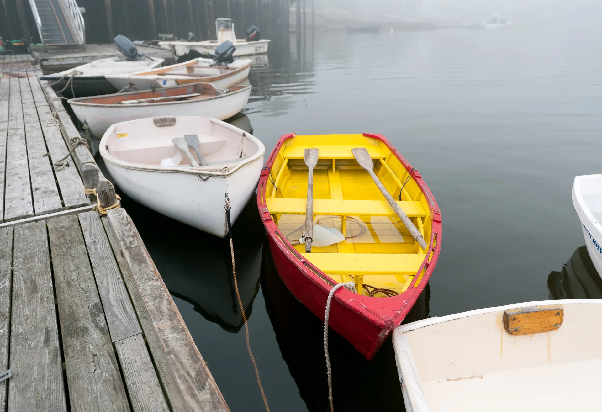 Maine 2013_Louds Island_D700_071113 (11 of 115)-Edit.jpg