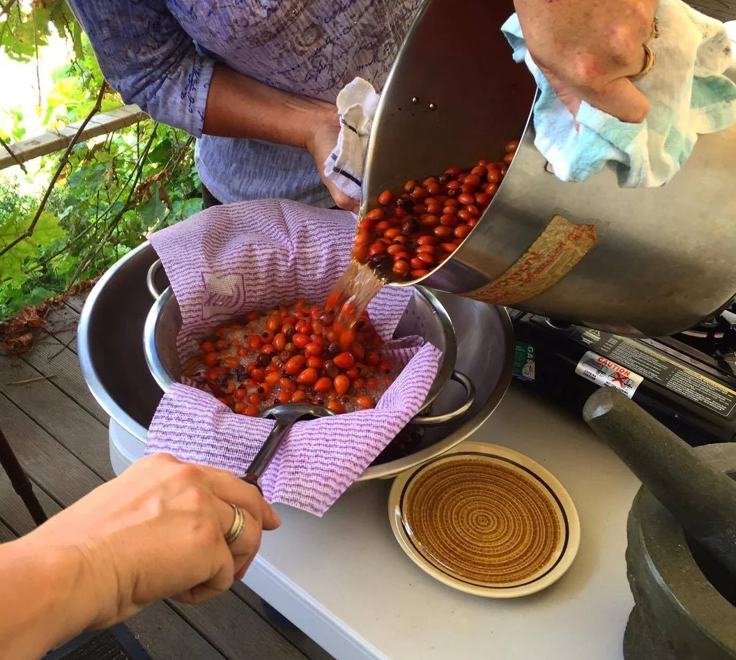 Rosehip Cordial.jpg