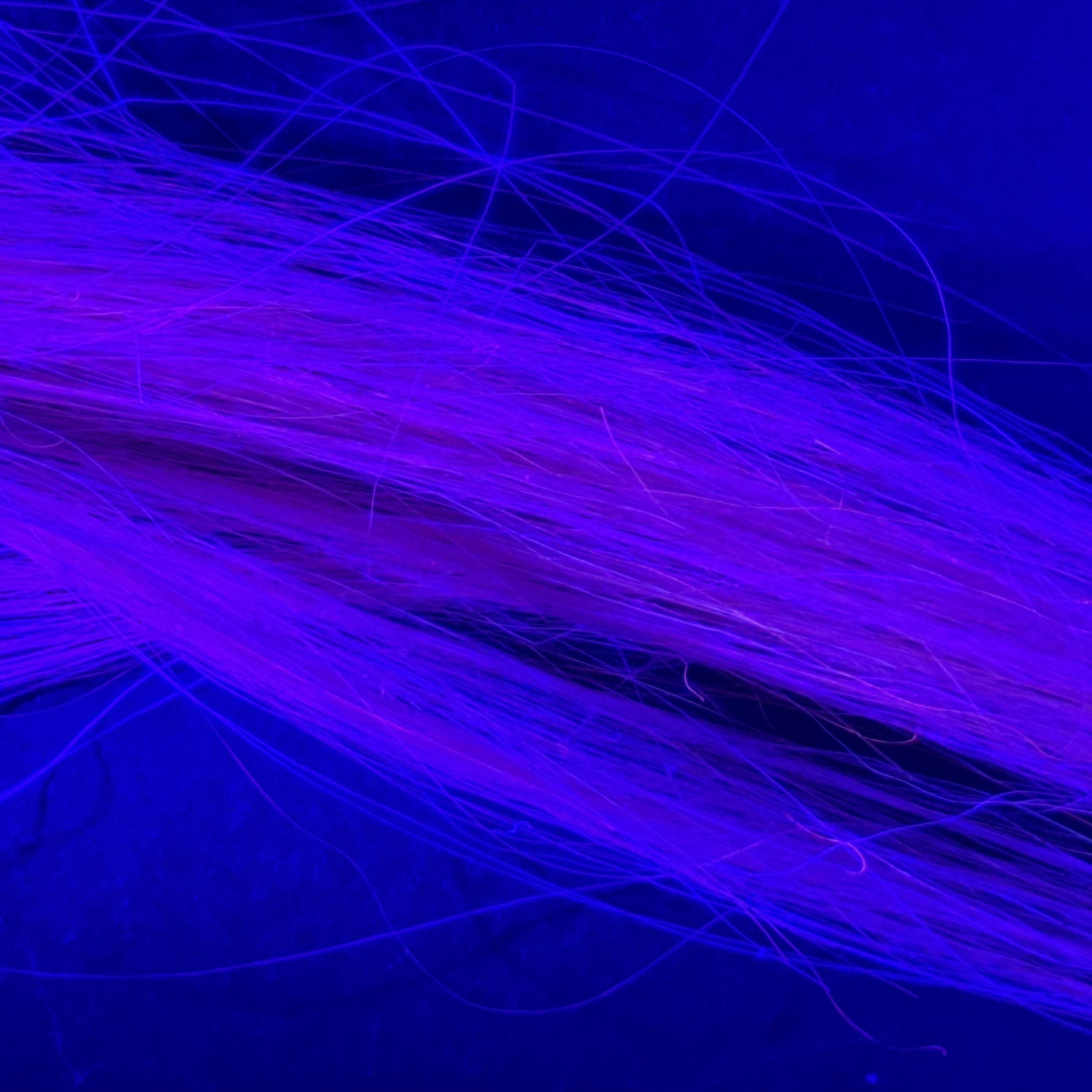 astral 3.jpg