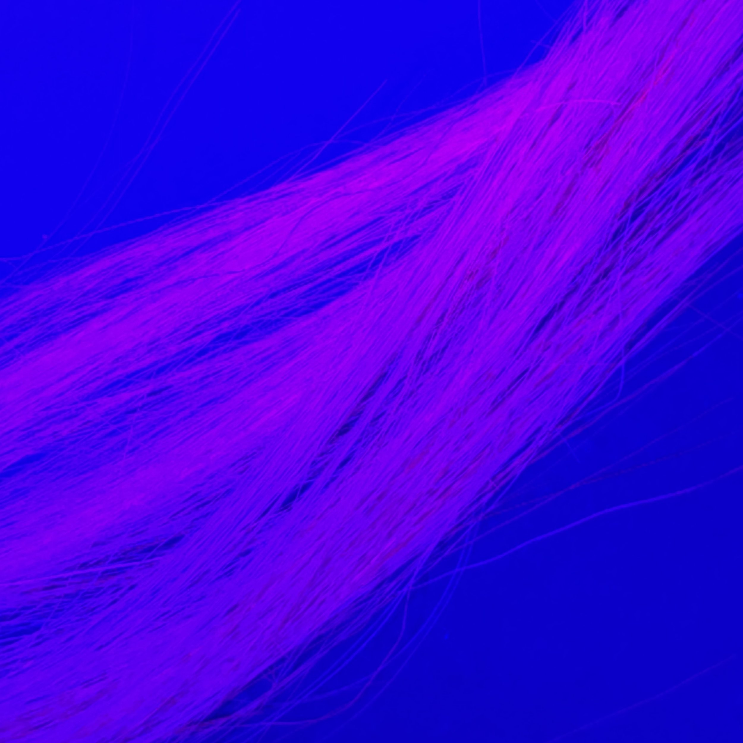 cadmium 3.jpg