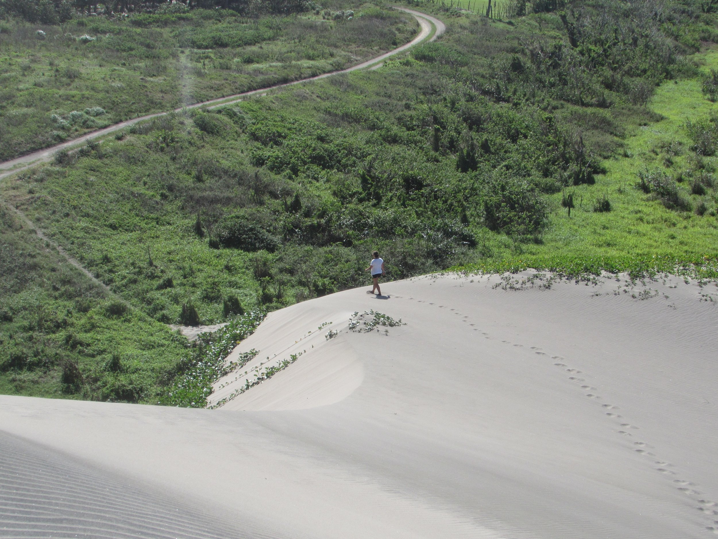 It felt otherworldly to walk down the wind-whipped dunes.