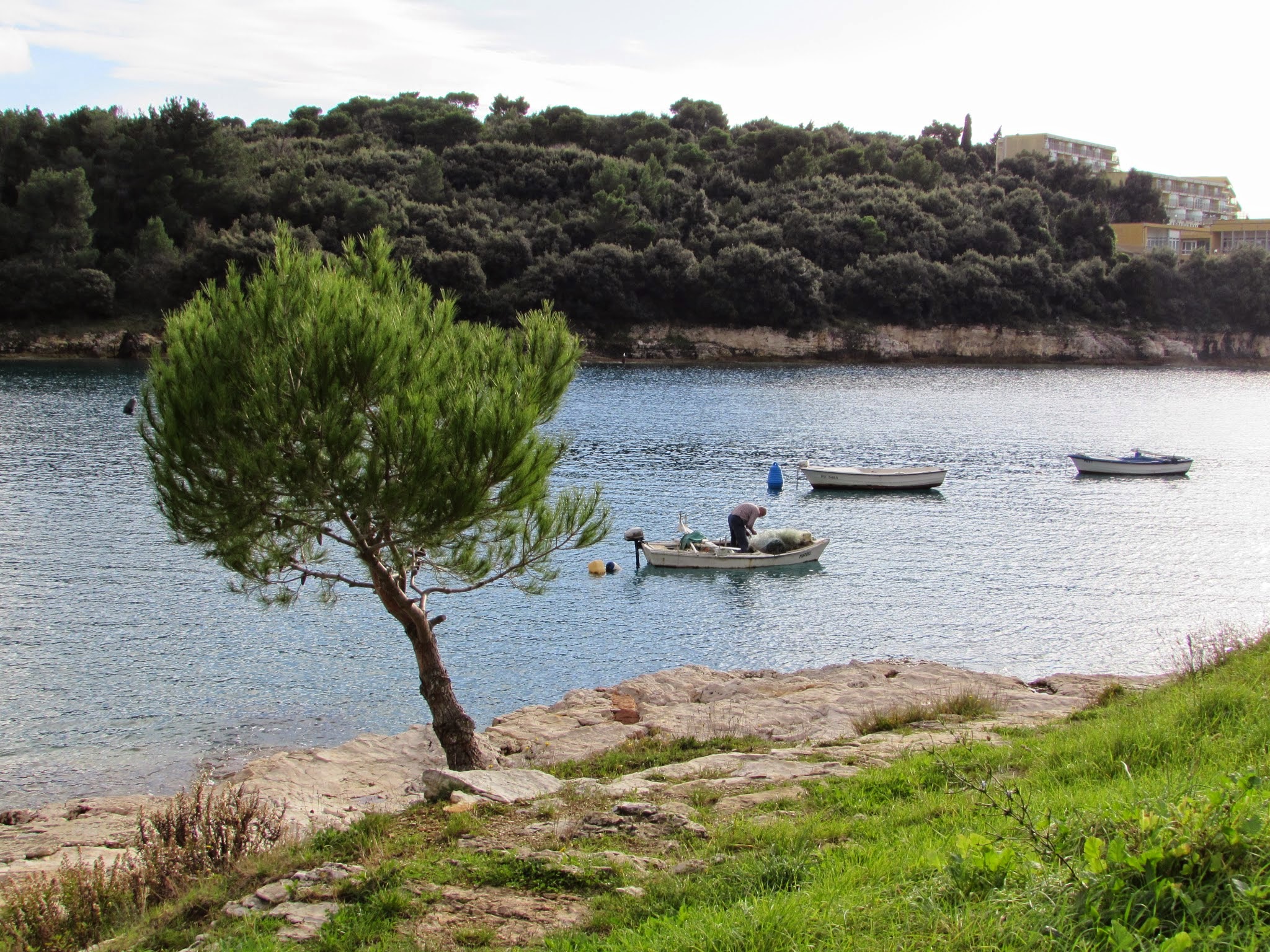 A fisherman in Pula, Istria