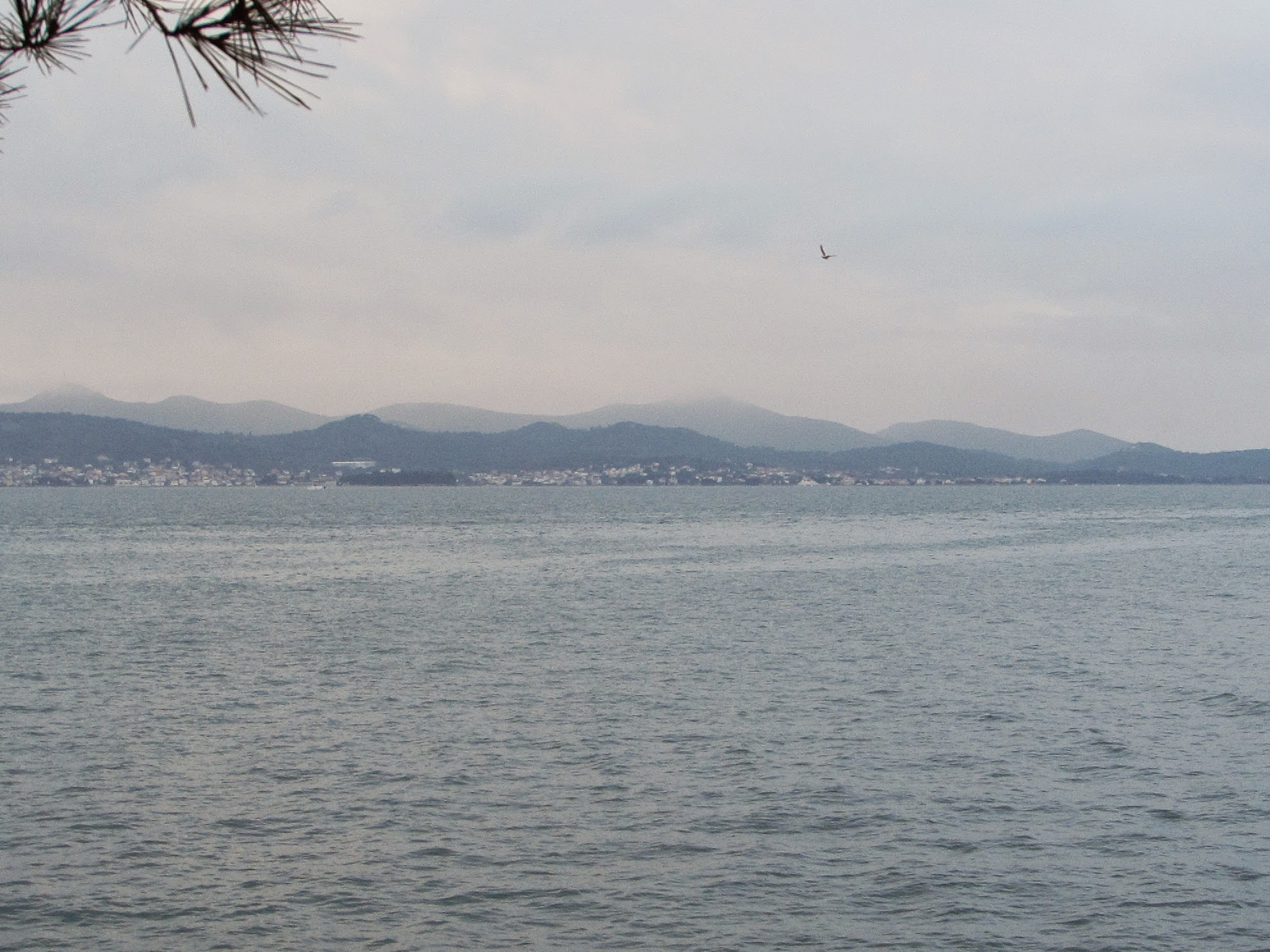 Ugljan Island as seen from Zadar, Dalmatia.