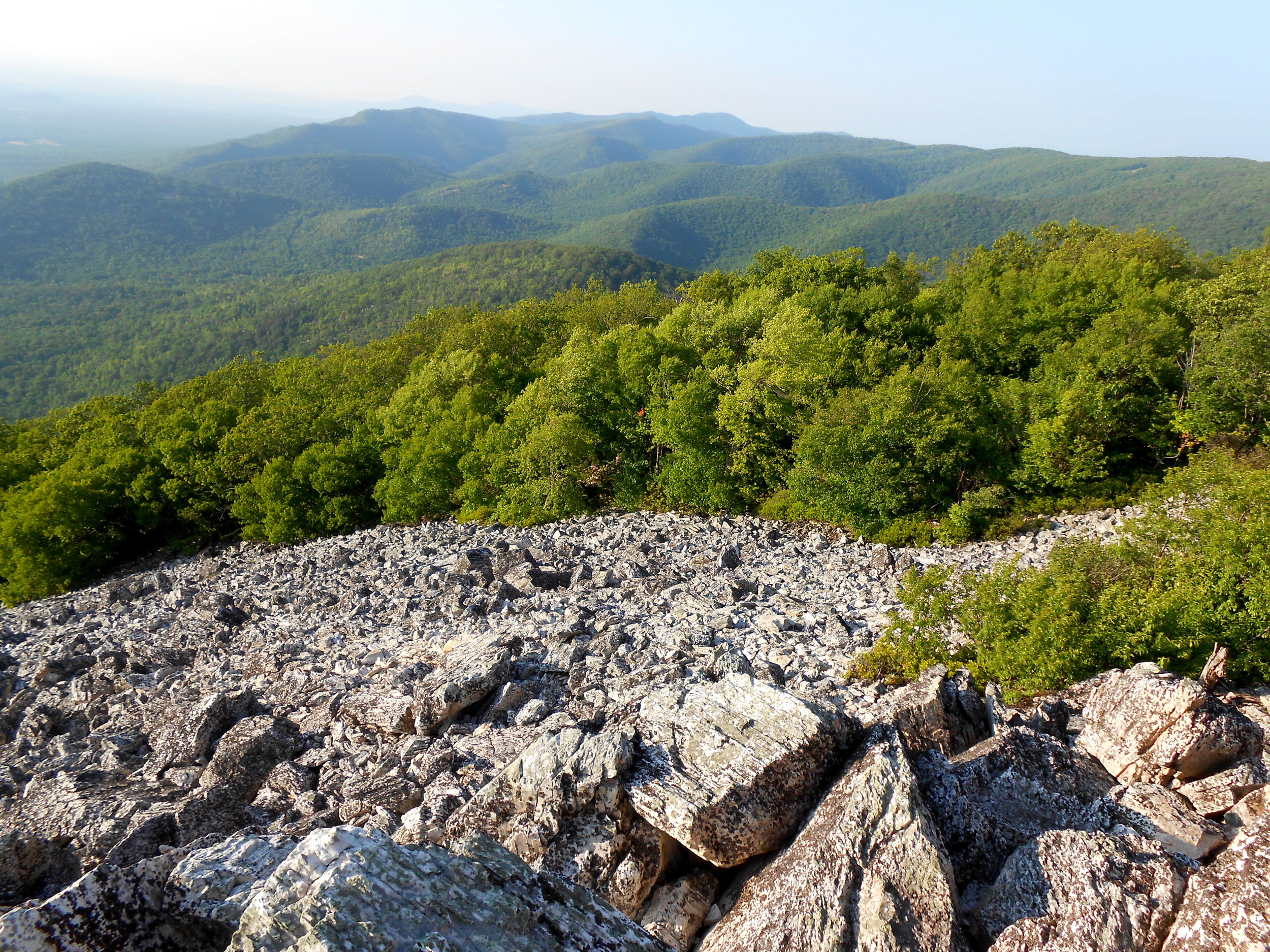View from the top of Turk Mountain.