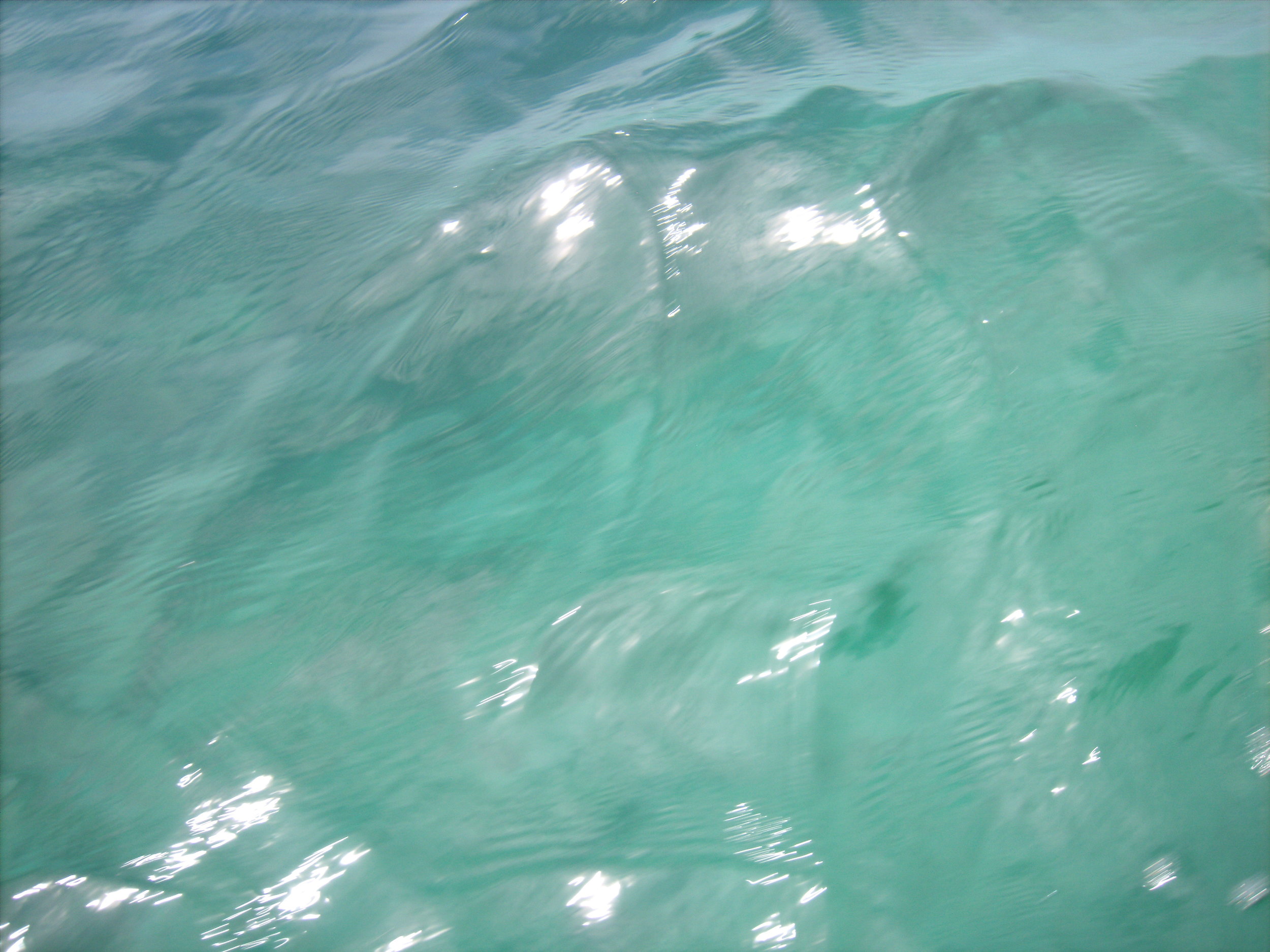 Sparkling blue waters of Bocas. (Apologies for the quality, I had a terrible and cheap point & shoot with me in Central America).