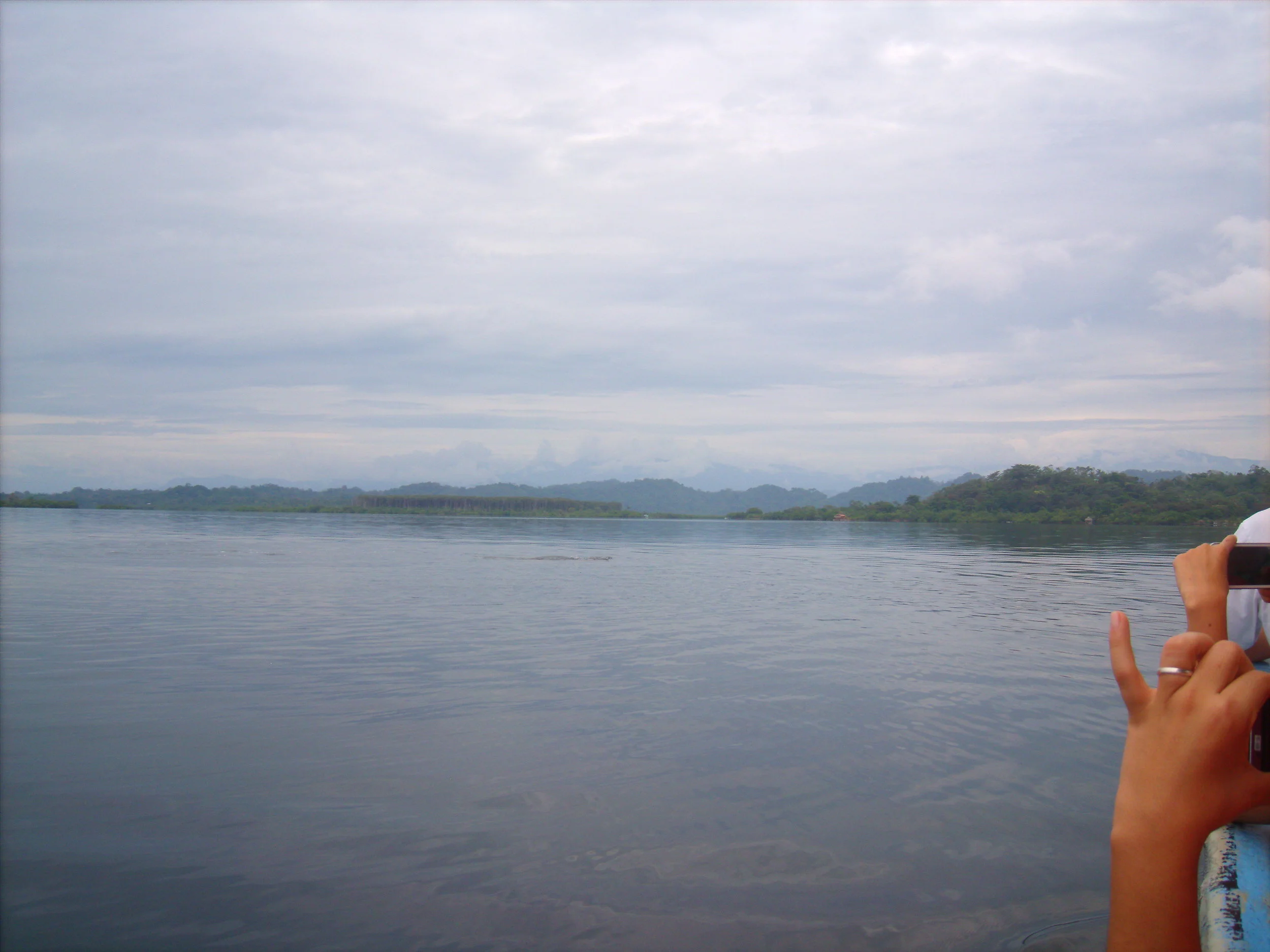 The Panamanian coast as viewed from our ridiculous boat tour.