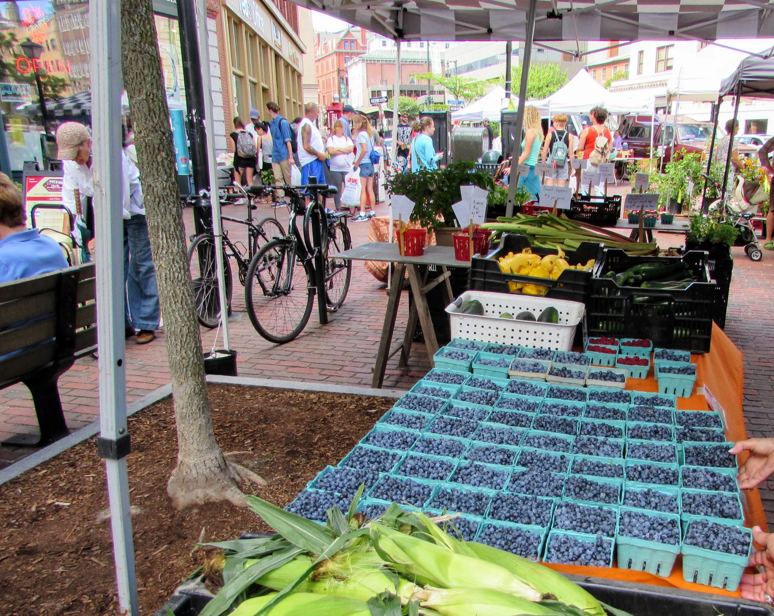 A Few Days in Portland, Maine — Savvy Dispatches