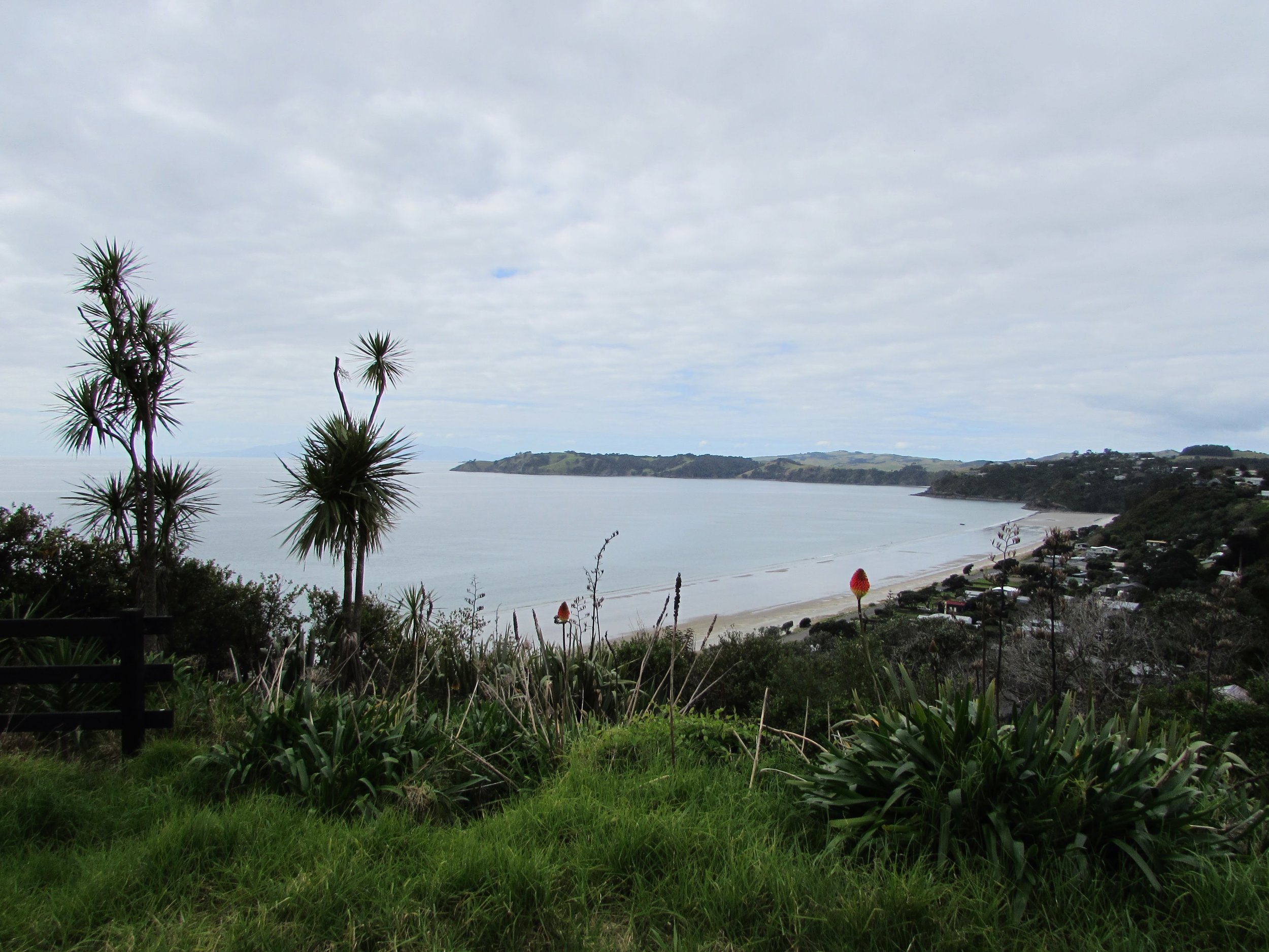 Waiheke's Onetangi Beach, viewed from the roadside above.