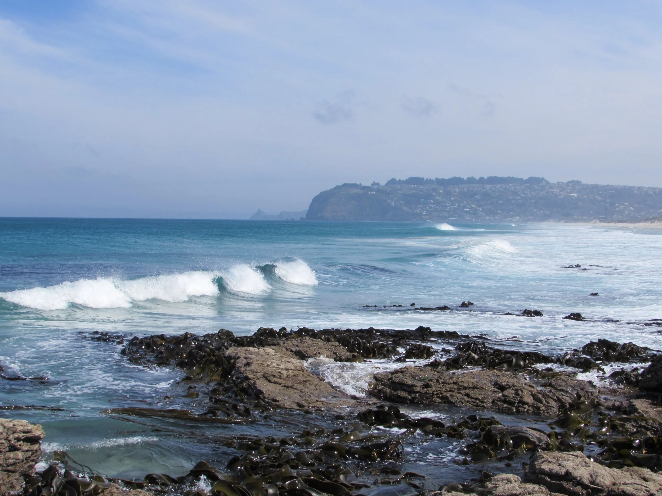 Southern waves of St. Kilda, Dunedin.
