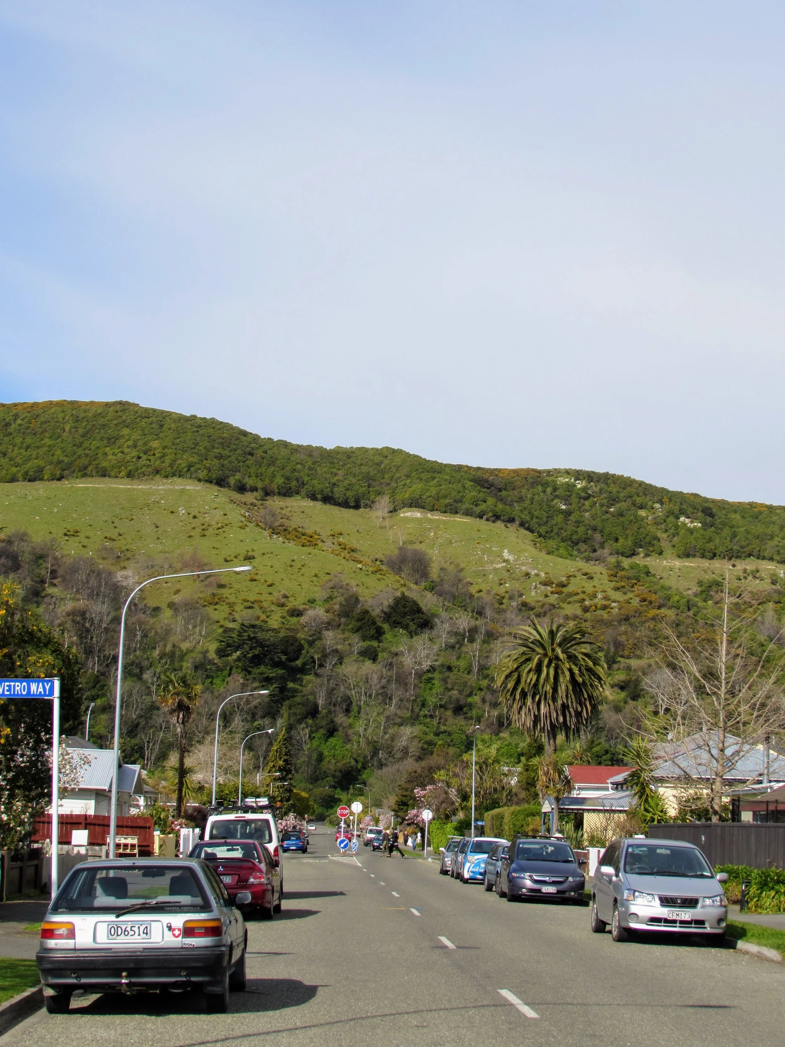 The streets of Nelson, NZ.