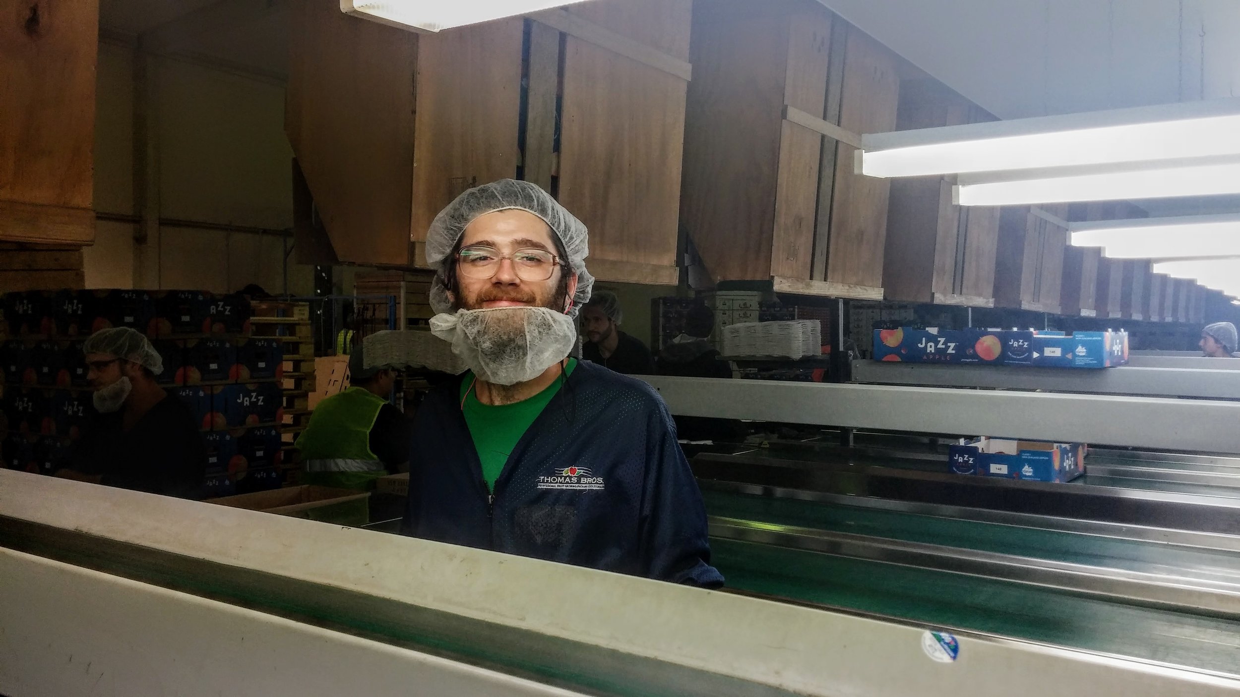 Emmett has to wear a hairnet and a beardnet which our employers call a "snood." (I think it's kinda hilarious).