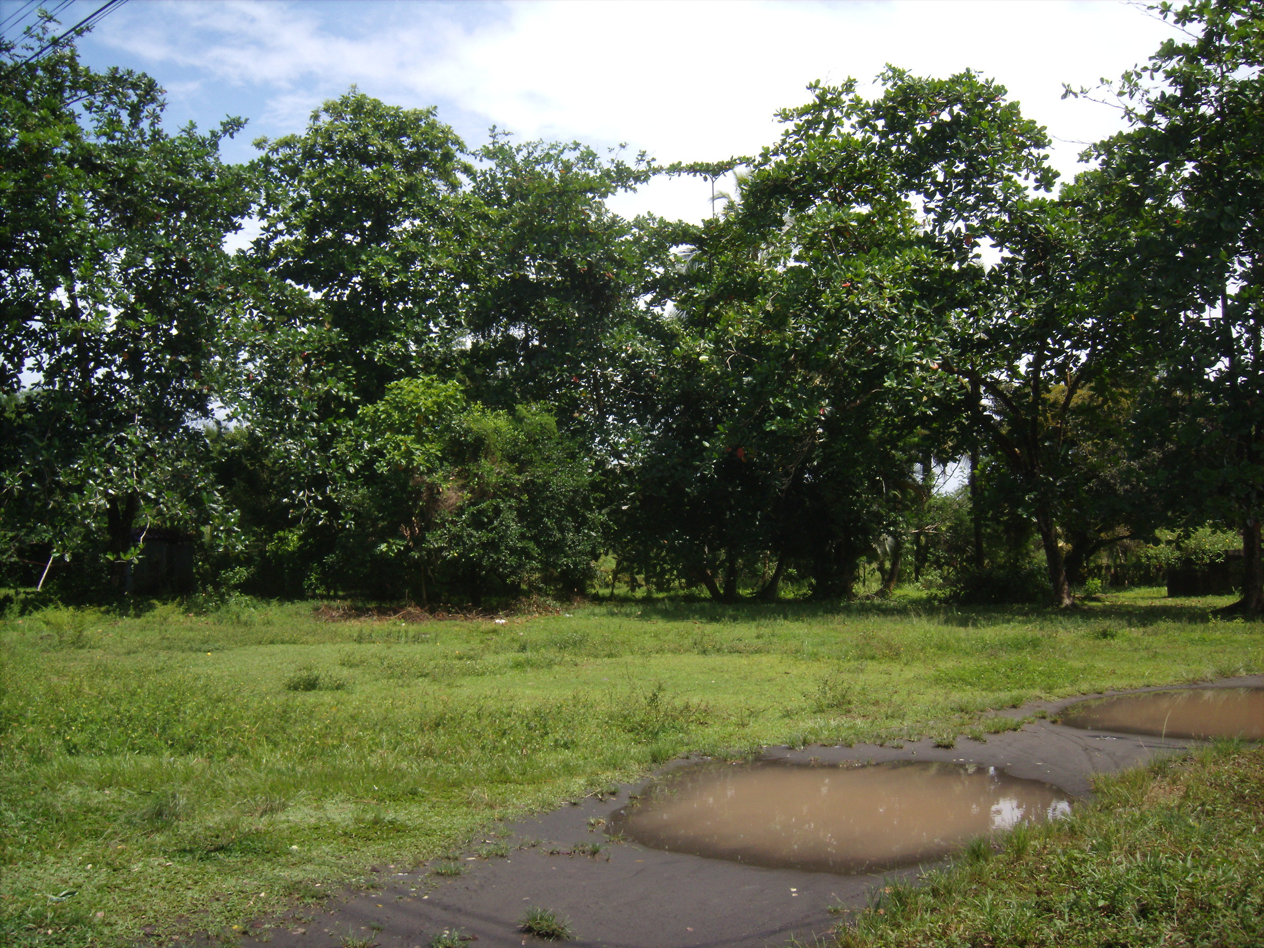 puddly paths through the village