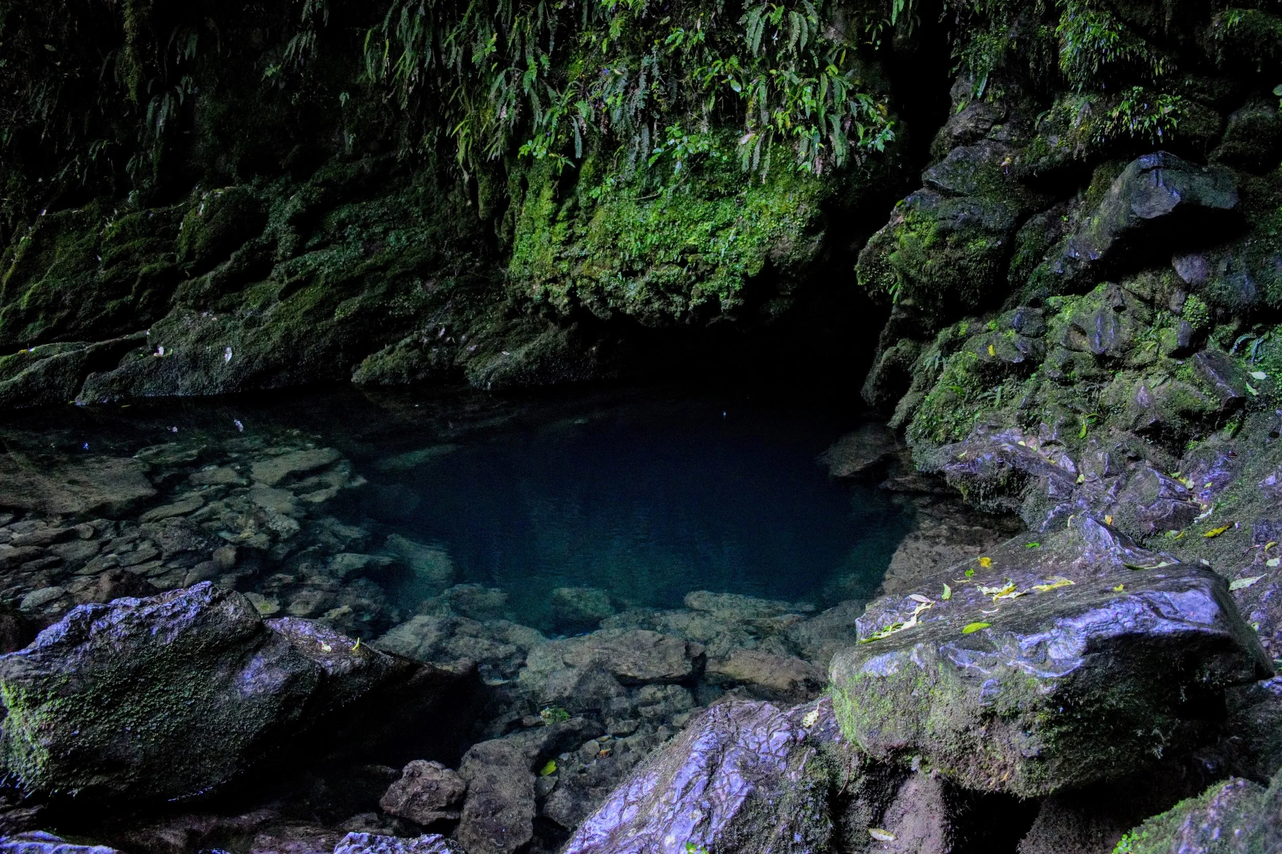 The Riwaka Resurgence, a sacred Maori site near Takaka Hill.