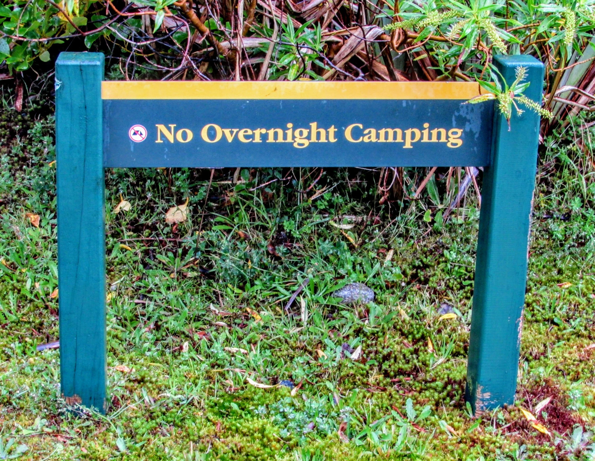 How To Live In Your Car In New Zealand Savvy Dispatches