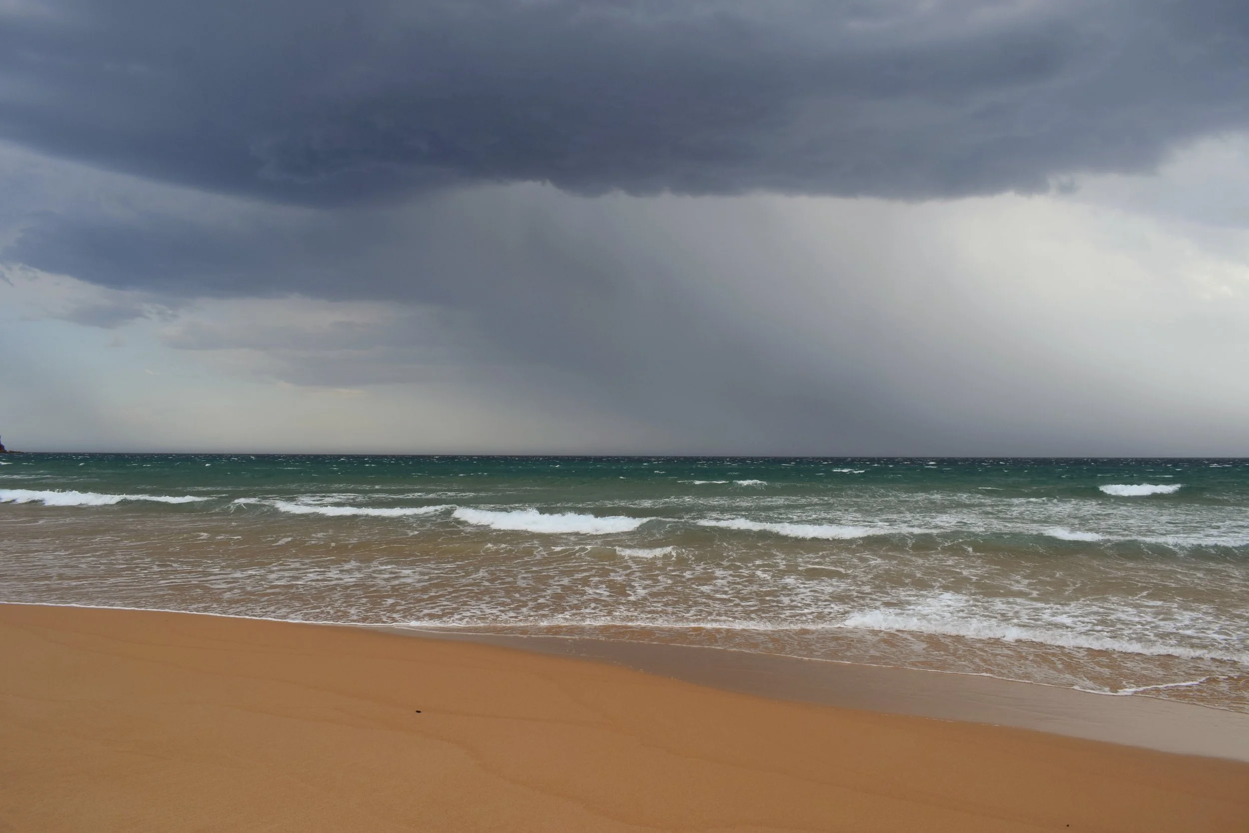 Visiting Phillip Island — Savvy Dispatches