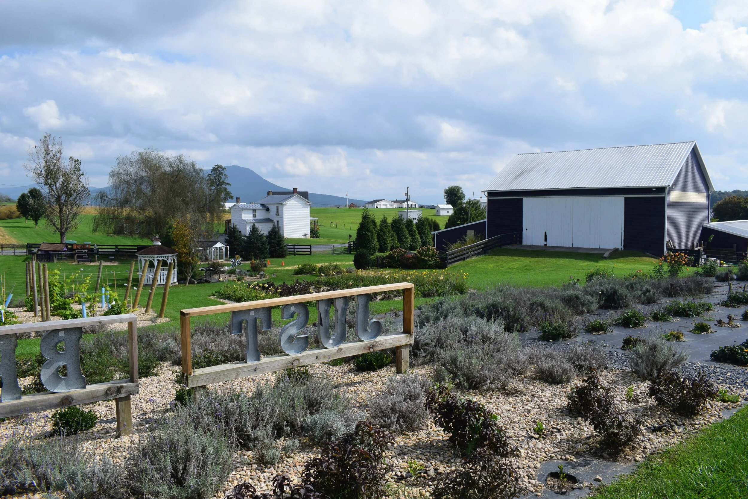 A Guide to Harrisonburg, Virginia — Savvy Dispatches