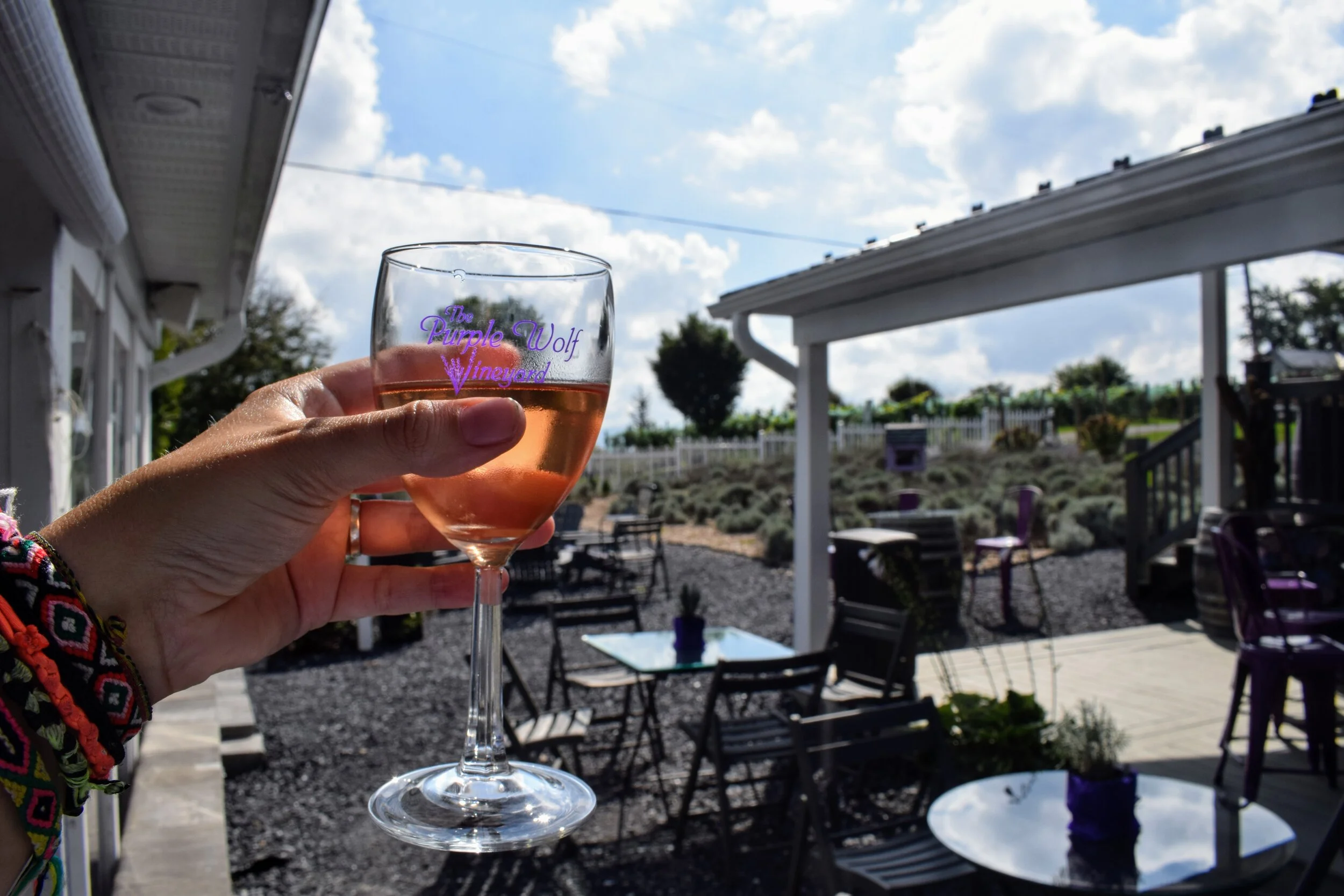 A Guide to Harrisonburg, Virginia — Savvy Dispatches