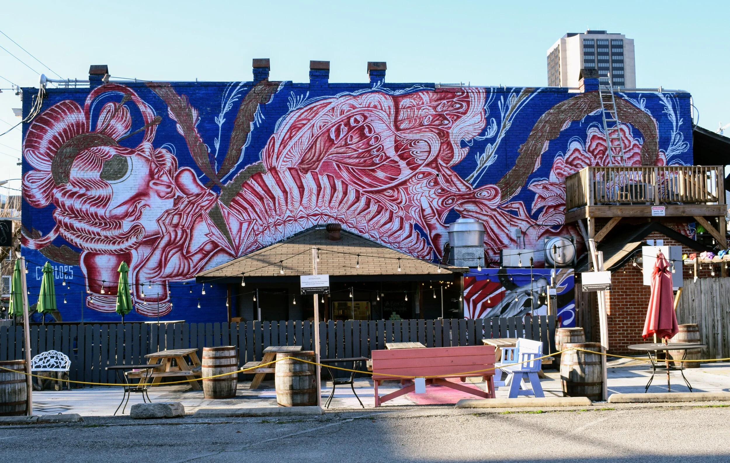Richmond, Virginia Street Art Guide — Savvy Dispatches