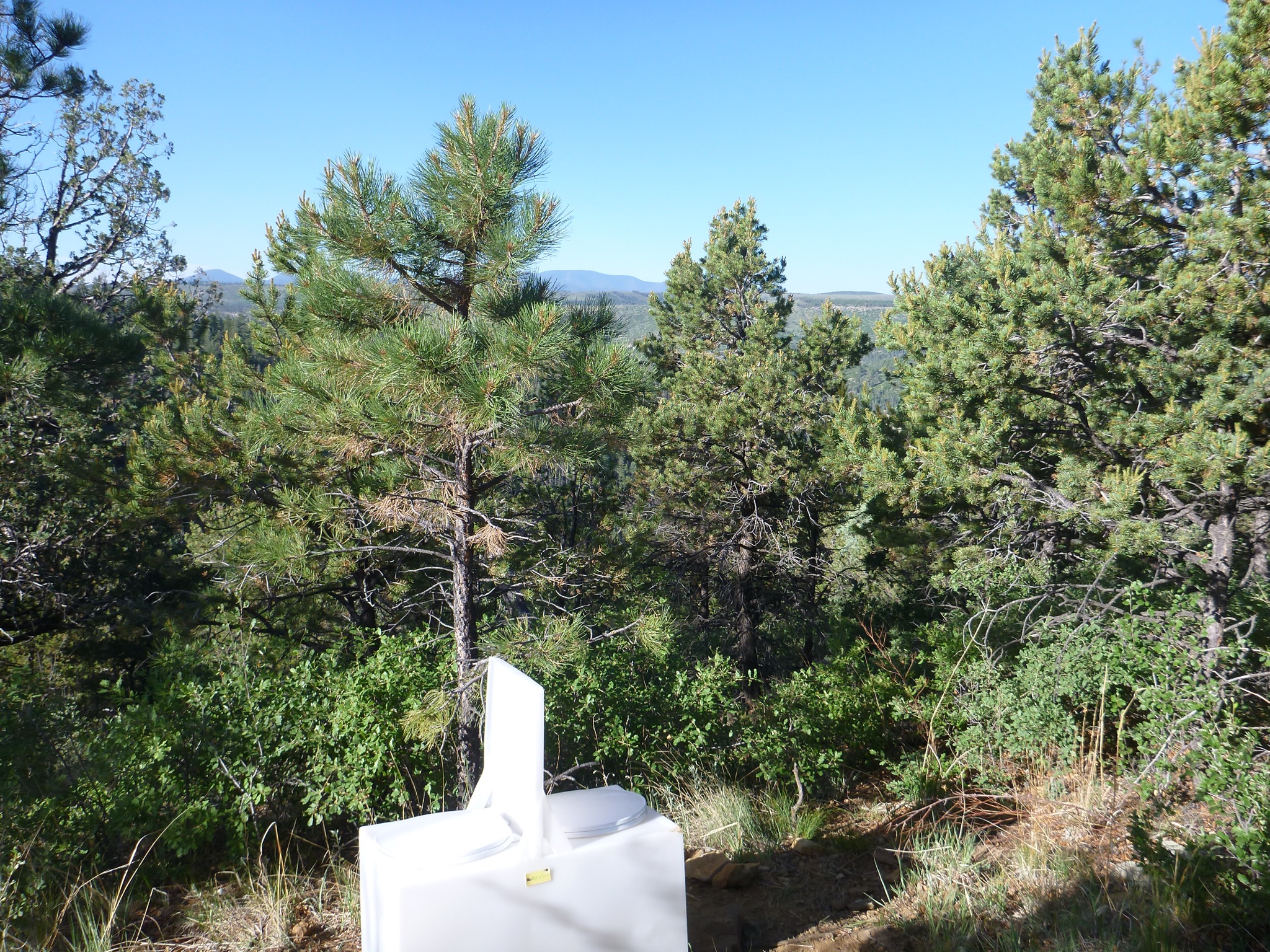 Philmont2016_23.jpeg