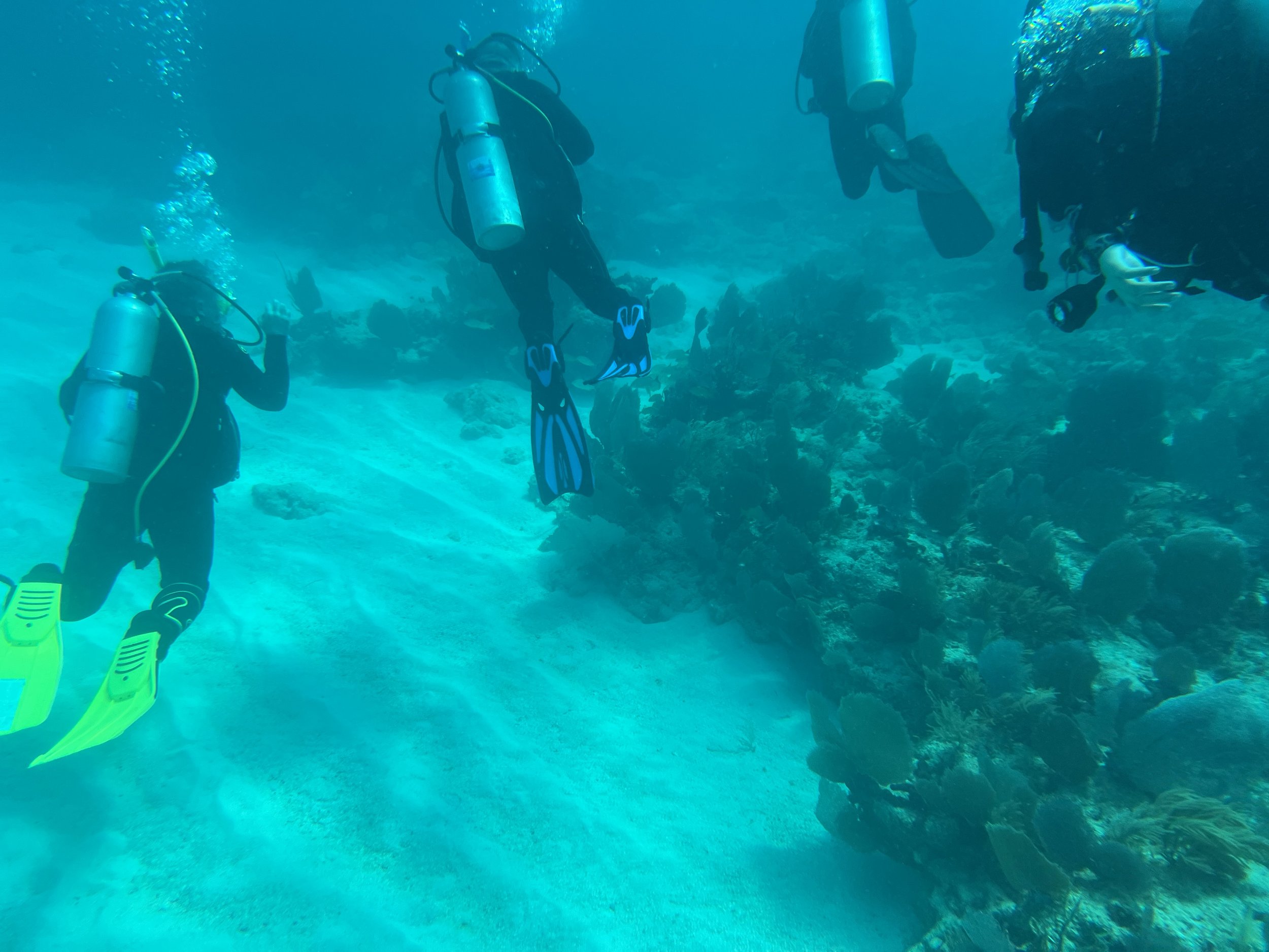 IMG_0569 Jason Bullman.jpeg