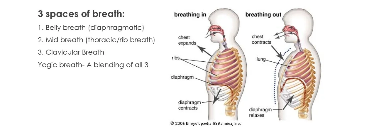 Balanced Breath Meditation — Body By Brian