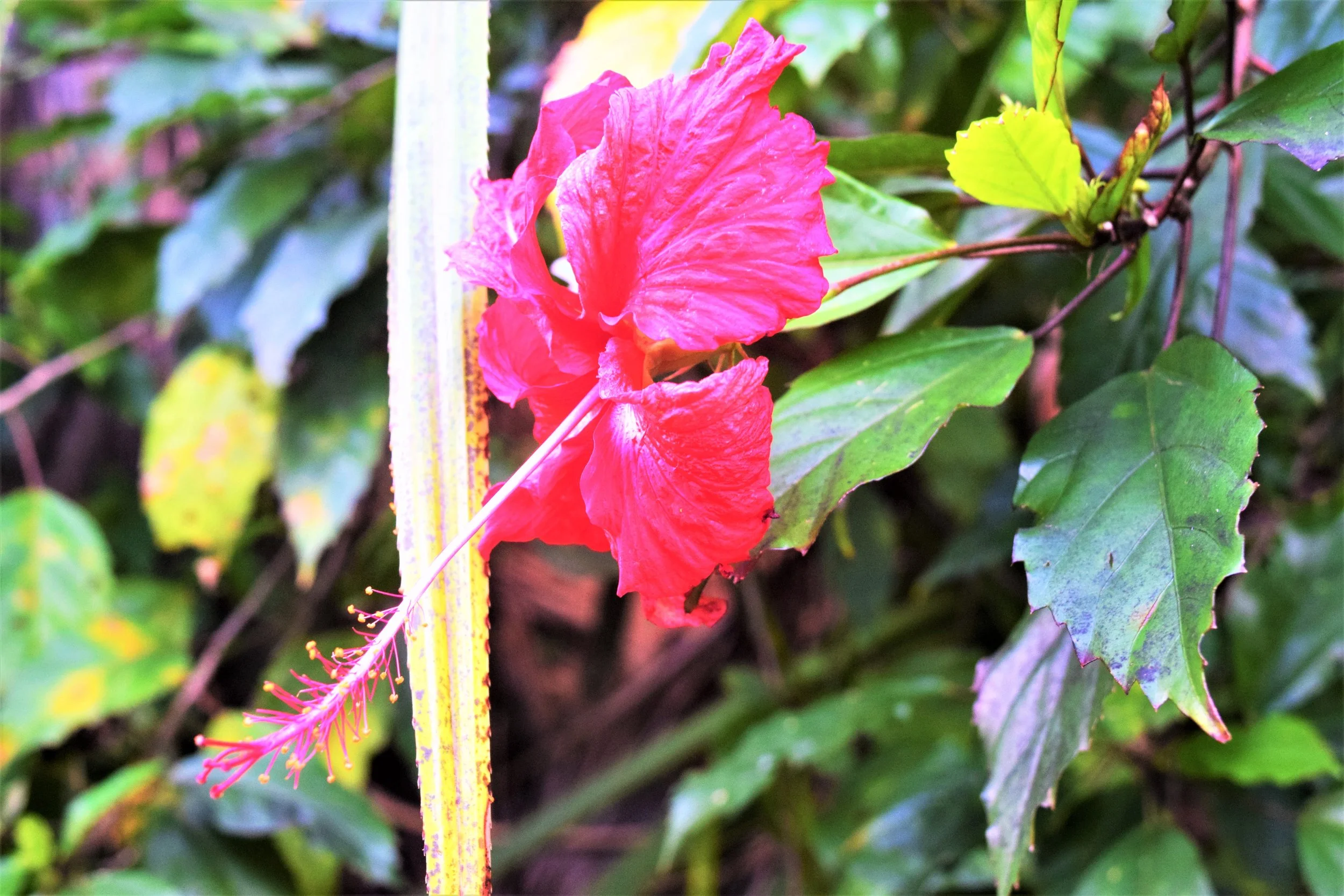 Seasonal Yoga: Spring Edition