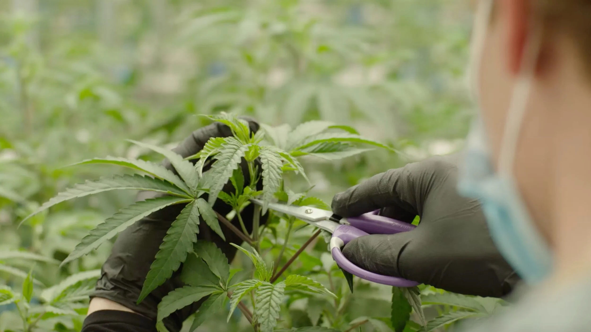 PAX - Every Detail Matters