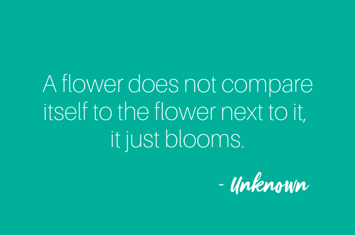 A flower does not compare itself to the flower next to it, it just blooms.png