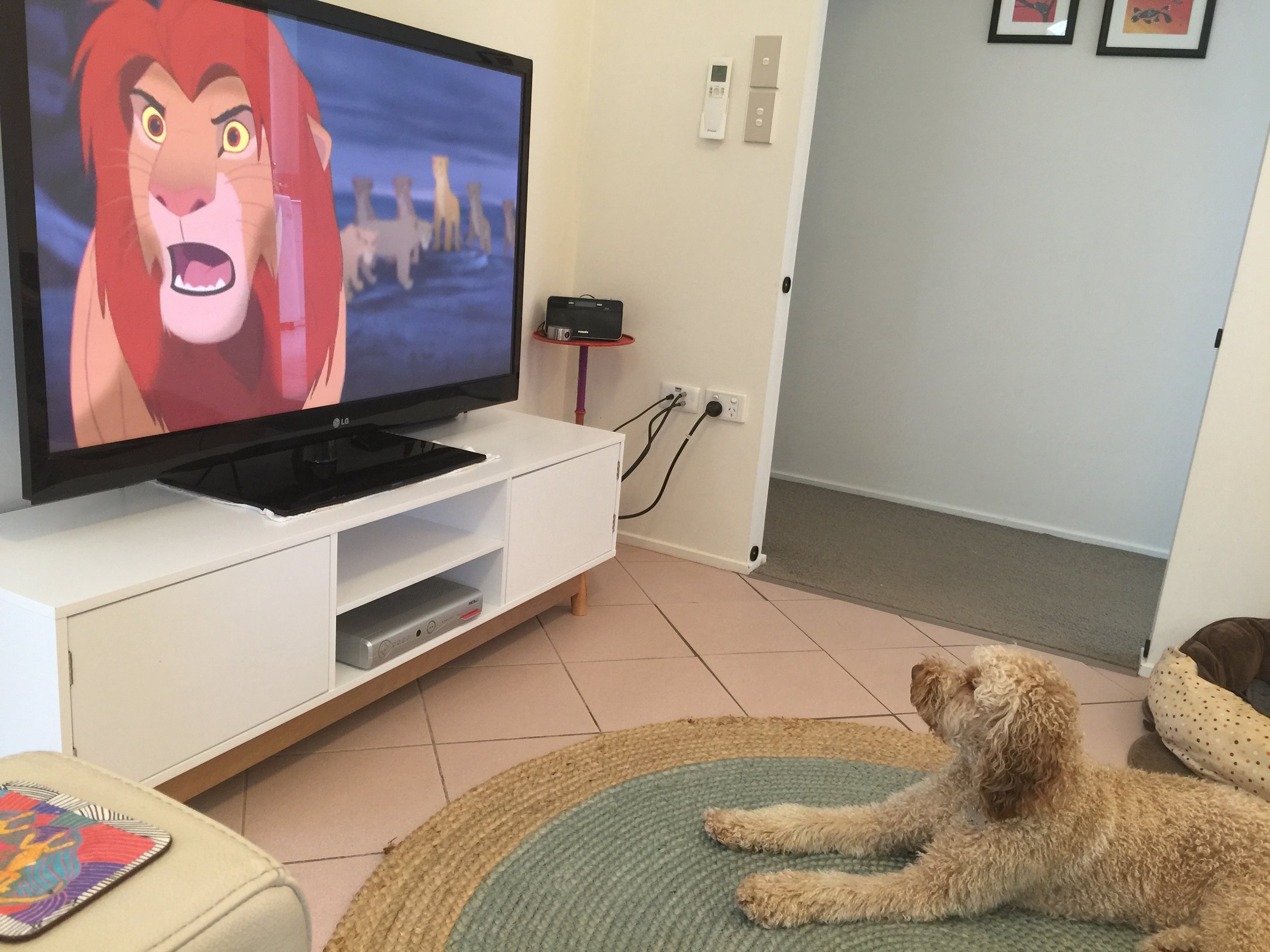 Leo watching his fav movie 'The Lion King'
