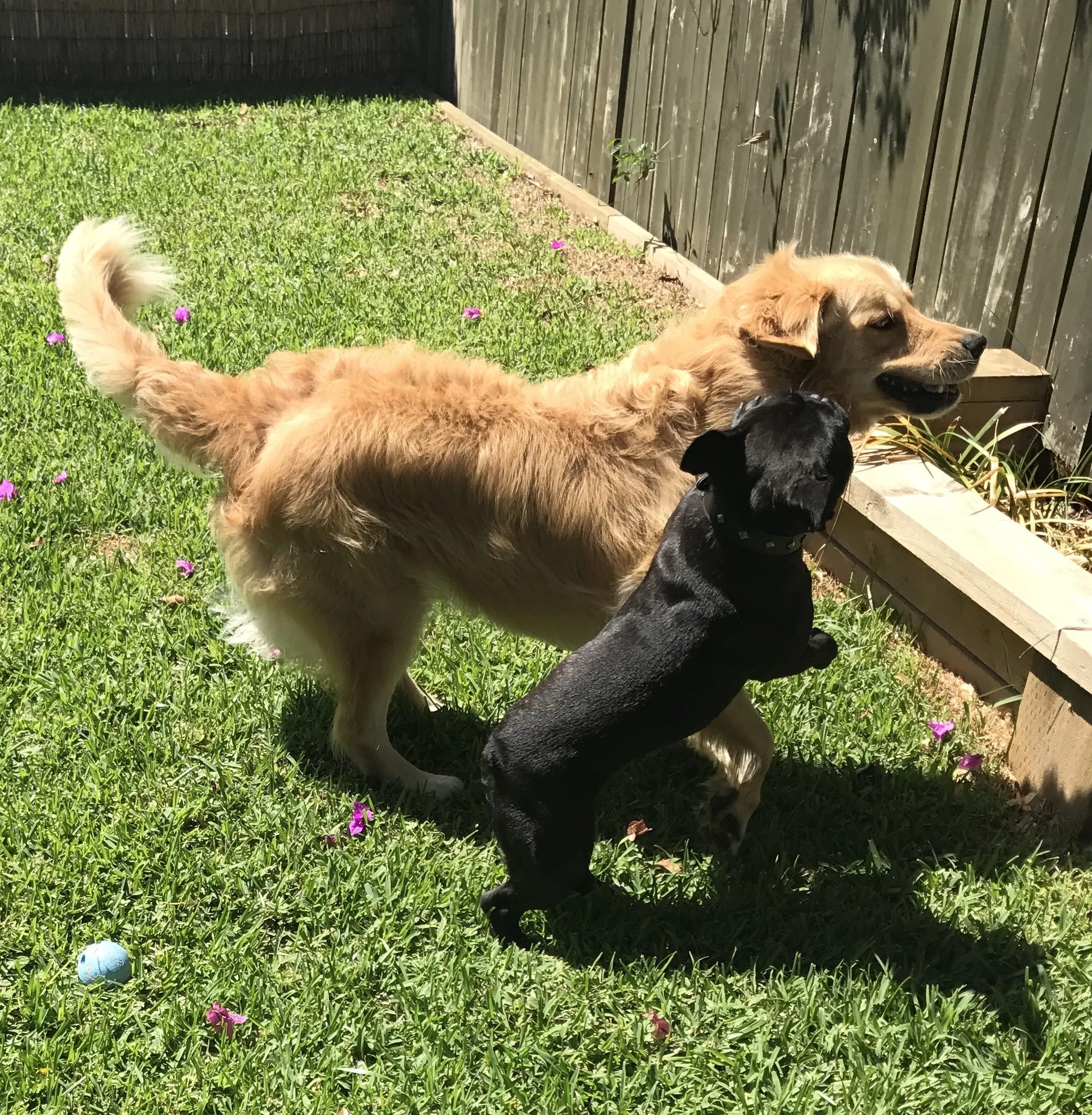 Douglas! Pick on someone your own size!