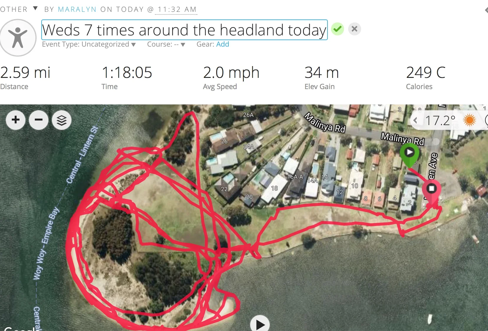 GPS maps sent daily of our walks. Here is Davistown, a favourite exercise 'off leash' venue. It has everything - calm, clean water for swimming, sand, grass, trees - and even more dogs to play with!