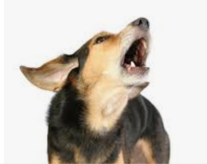 stock image