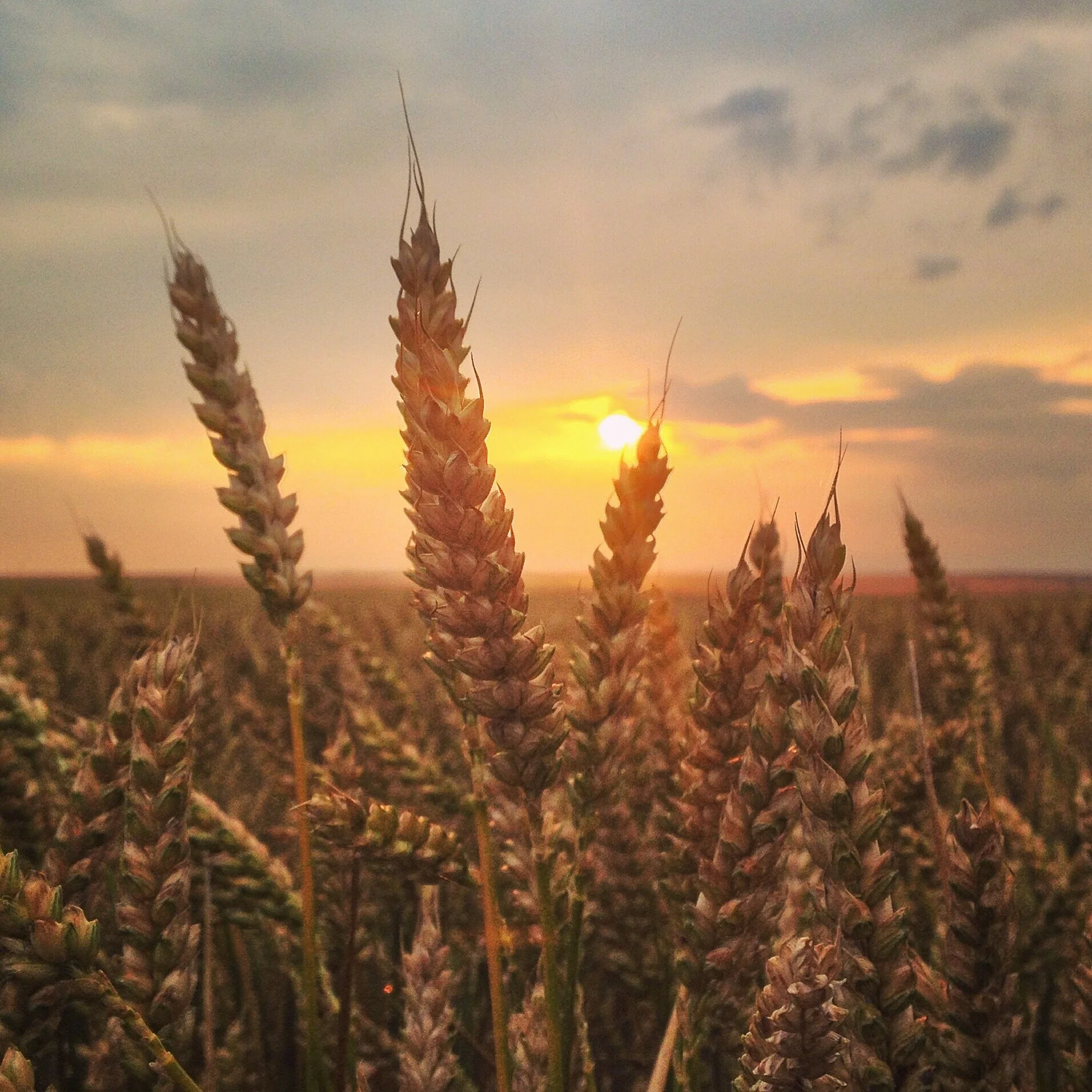 It's Okay to Be Human