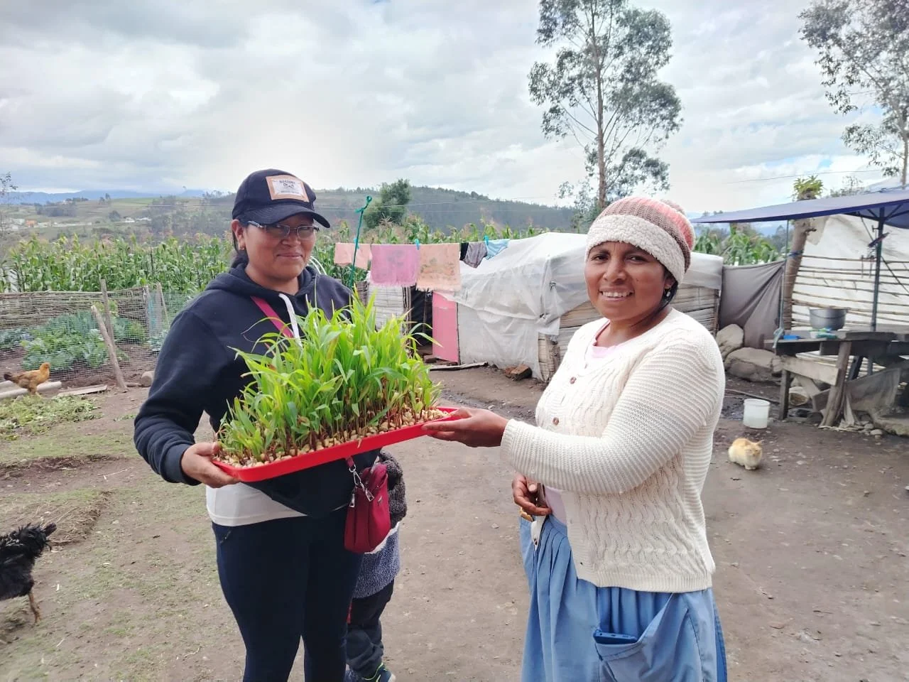 What does it really mean to flourish?