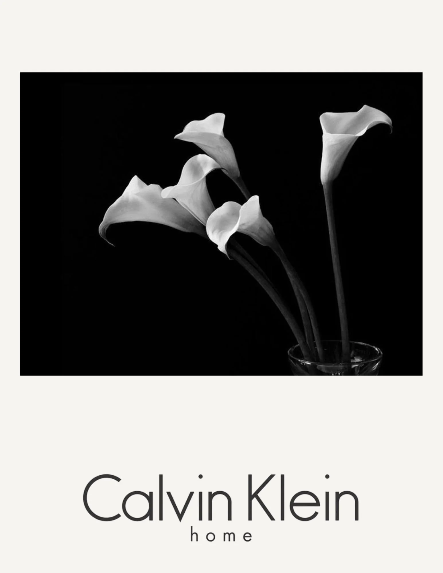 CK Home Concept 1.jpg
