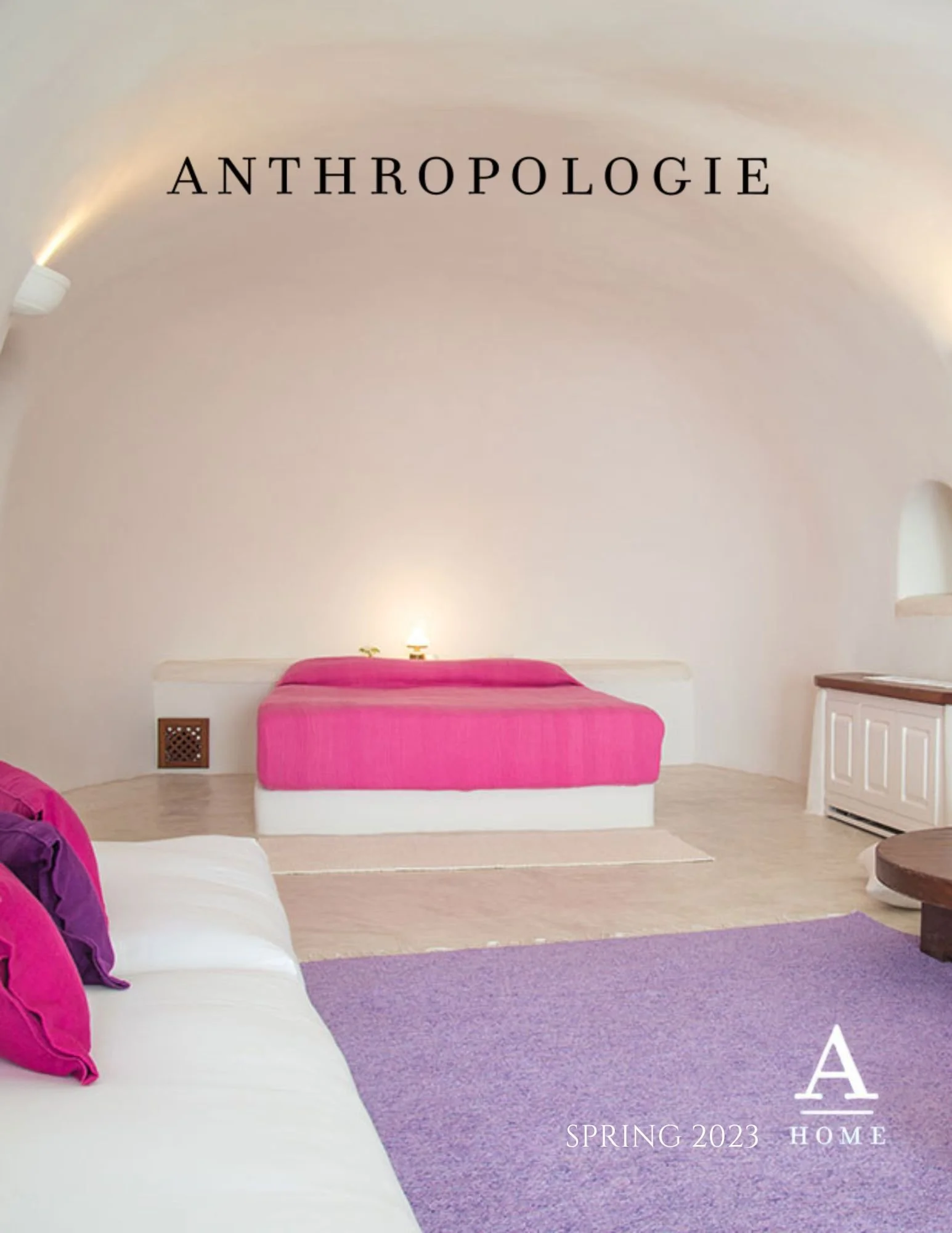 Anthro Home Concept.jpg