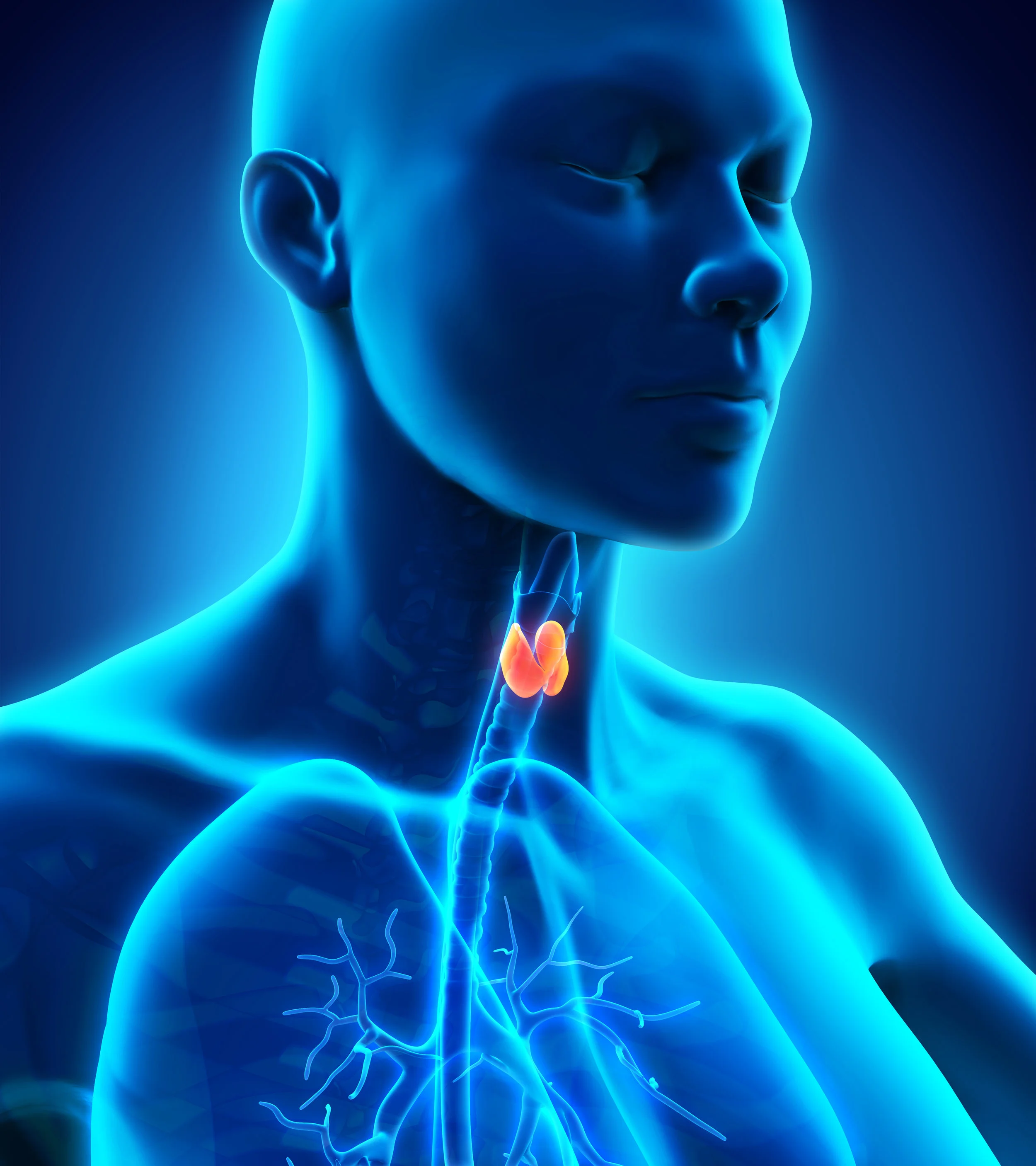 Why your Thyroid Test could be Wrong